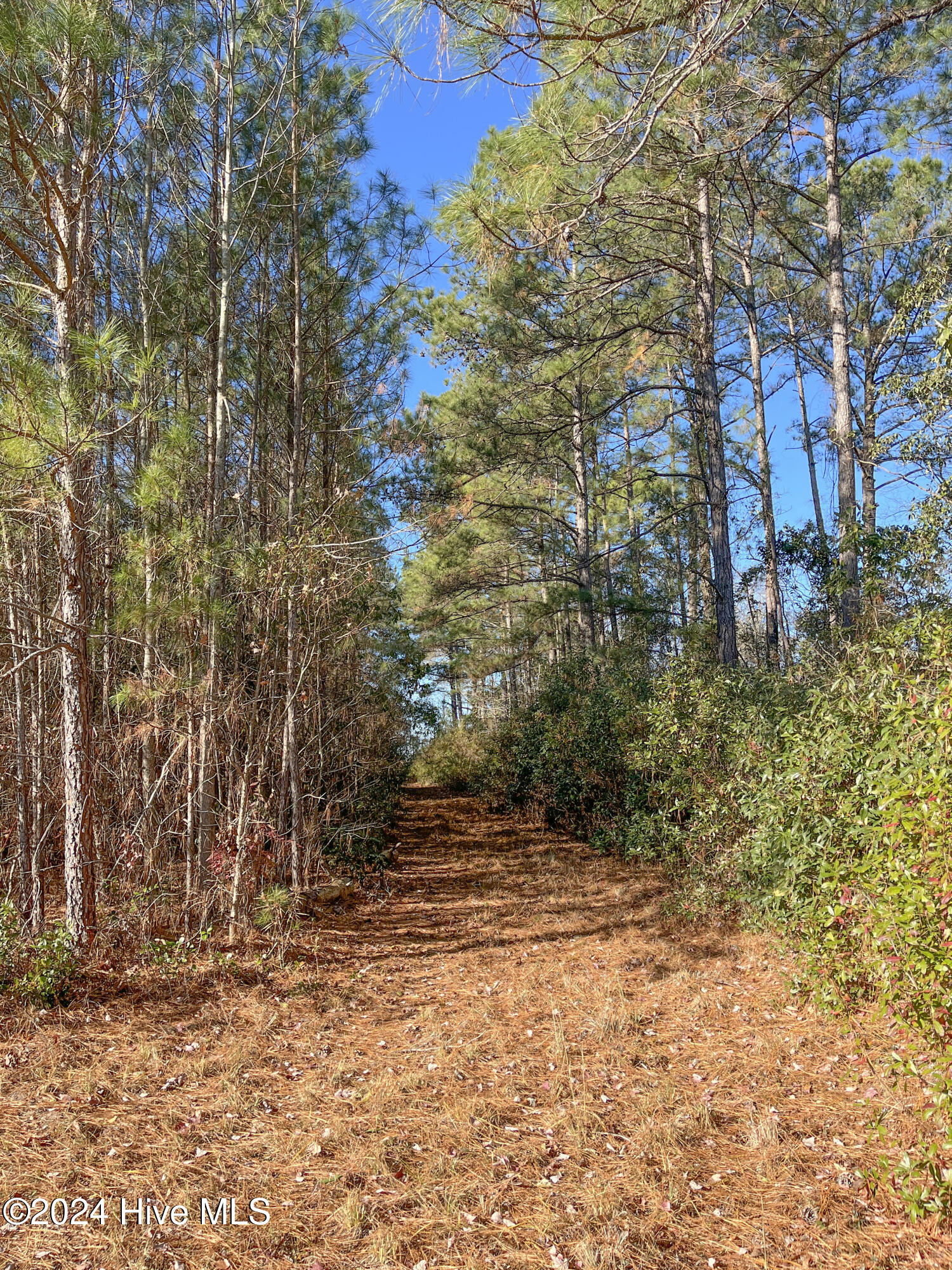 0 Indian Hill Road Property Photo 28