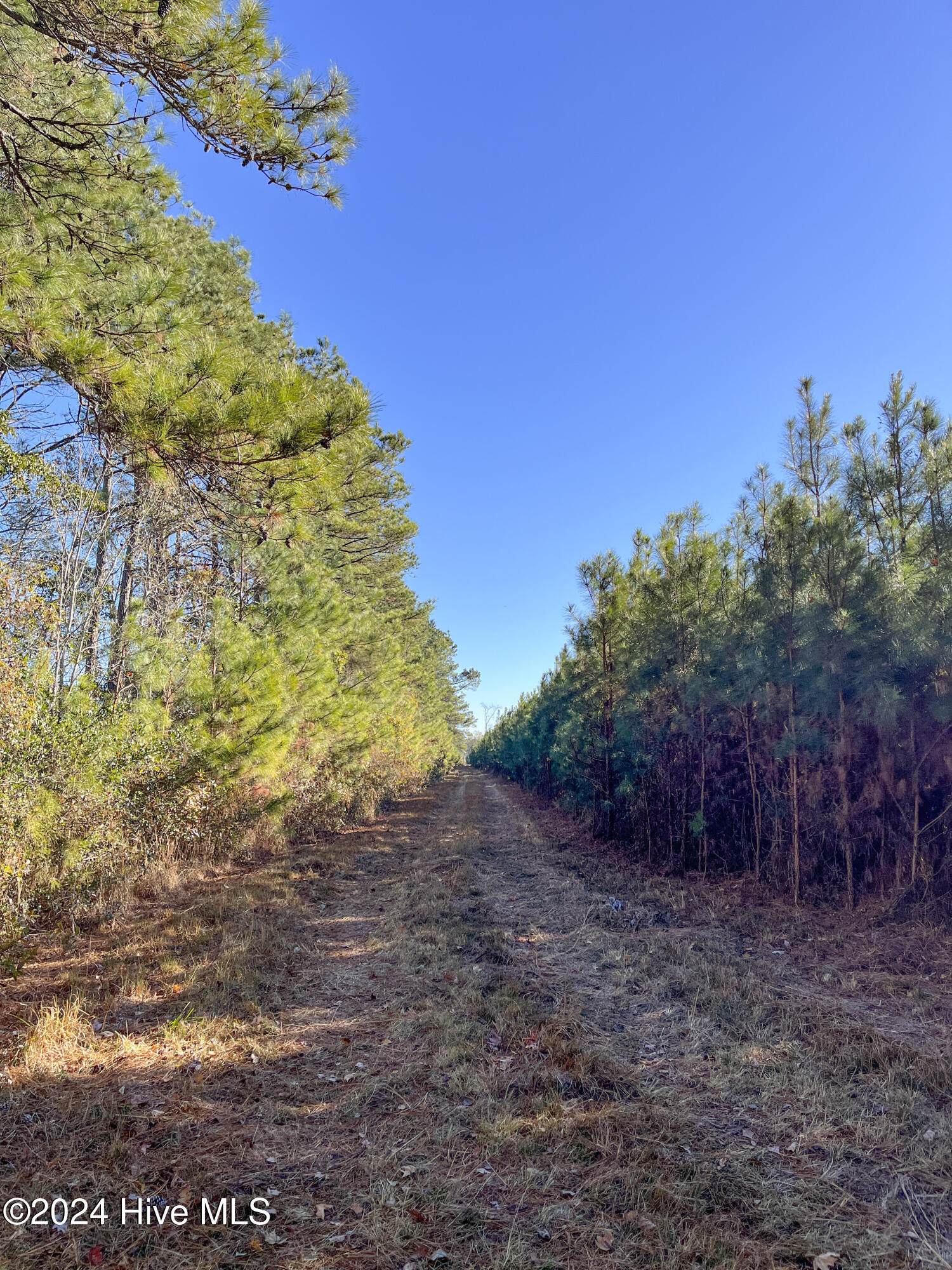 0 Indian Hill Road Property Photo 29