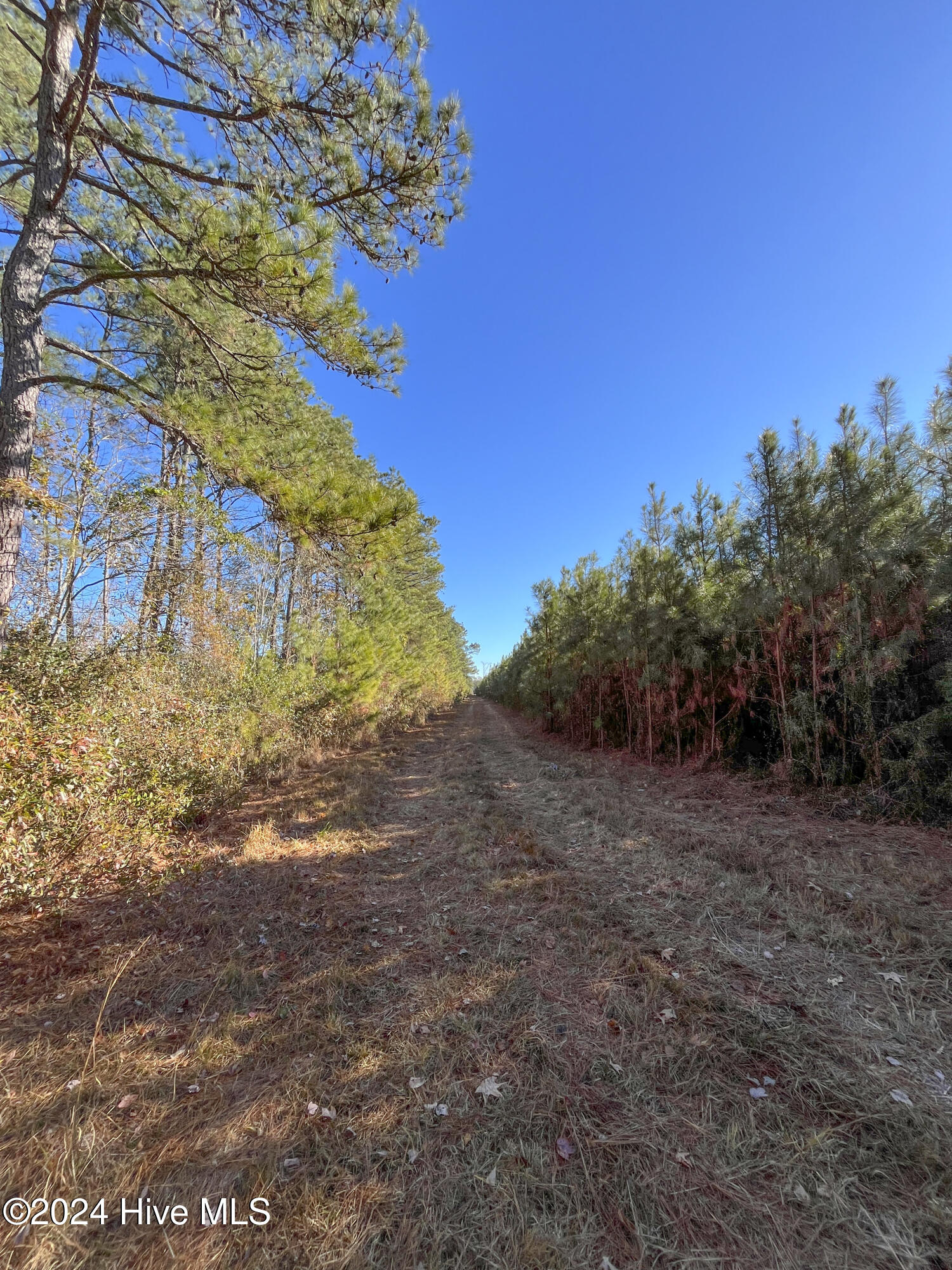 0 Indian Hill Road Property Photo 30