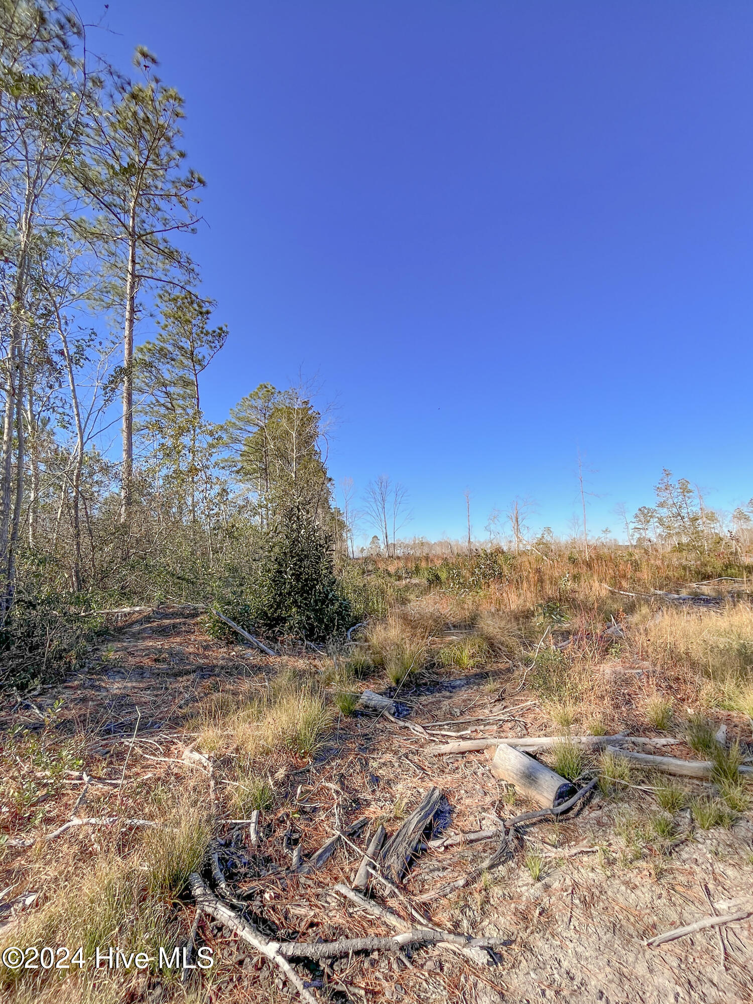 0 Indian Hill Road Property Photo 31