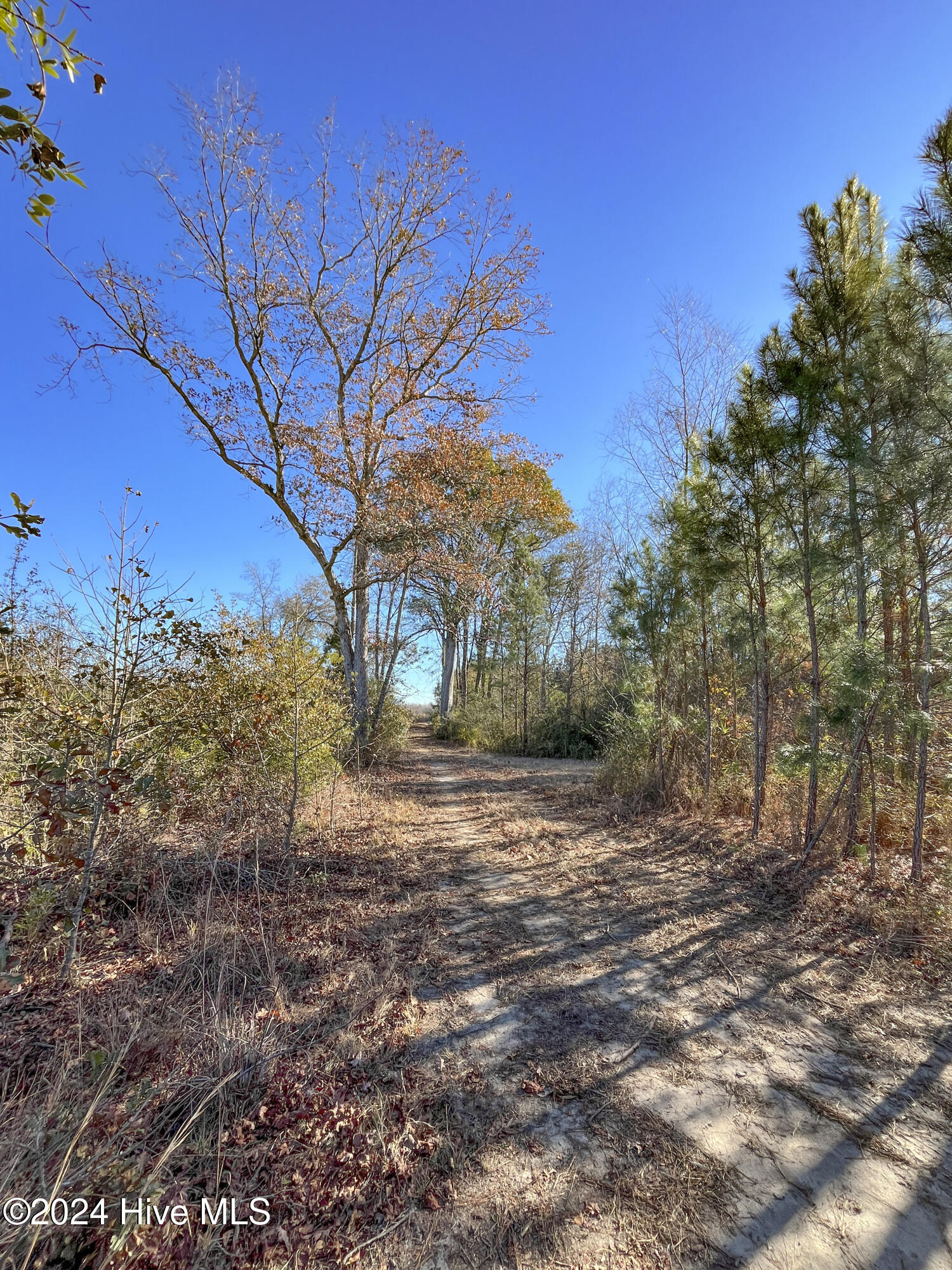 0 Indian Hill Road Property Photo 35