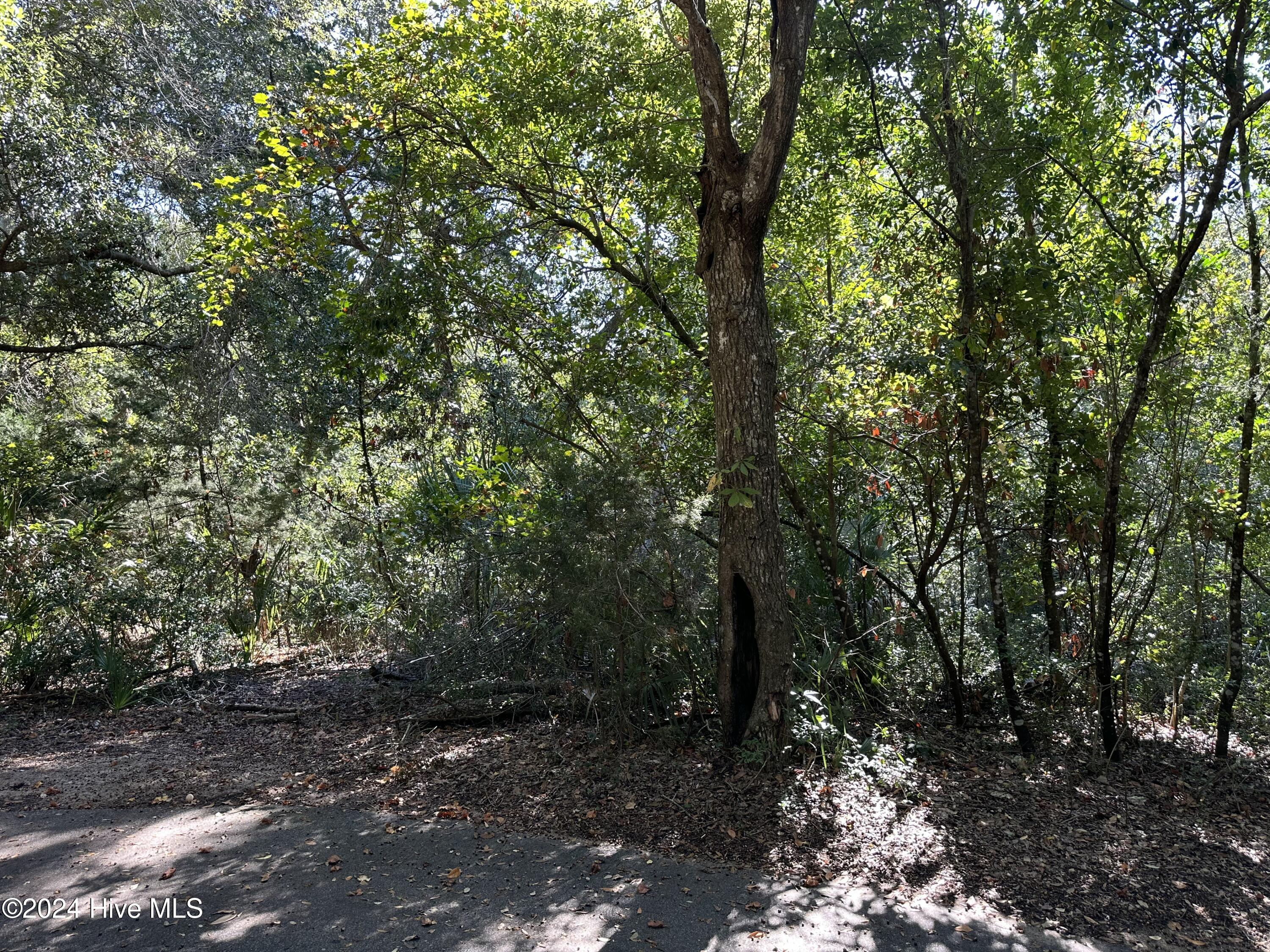 Bhi Palm Court Real Estate Listings Main Image