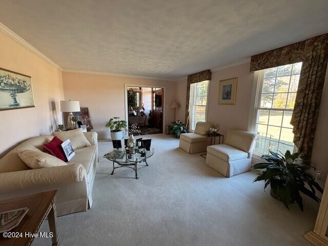 1343 Nc Highway 561 Property Photo 5