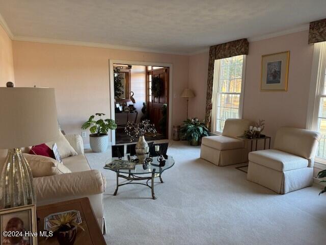 1343 Nc Highway 561 Property Photo 6