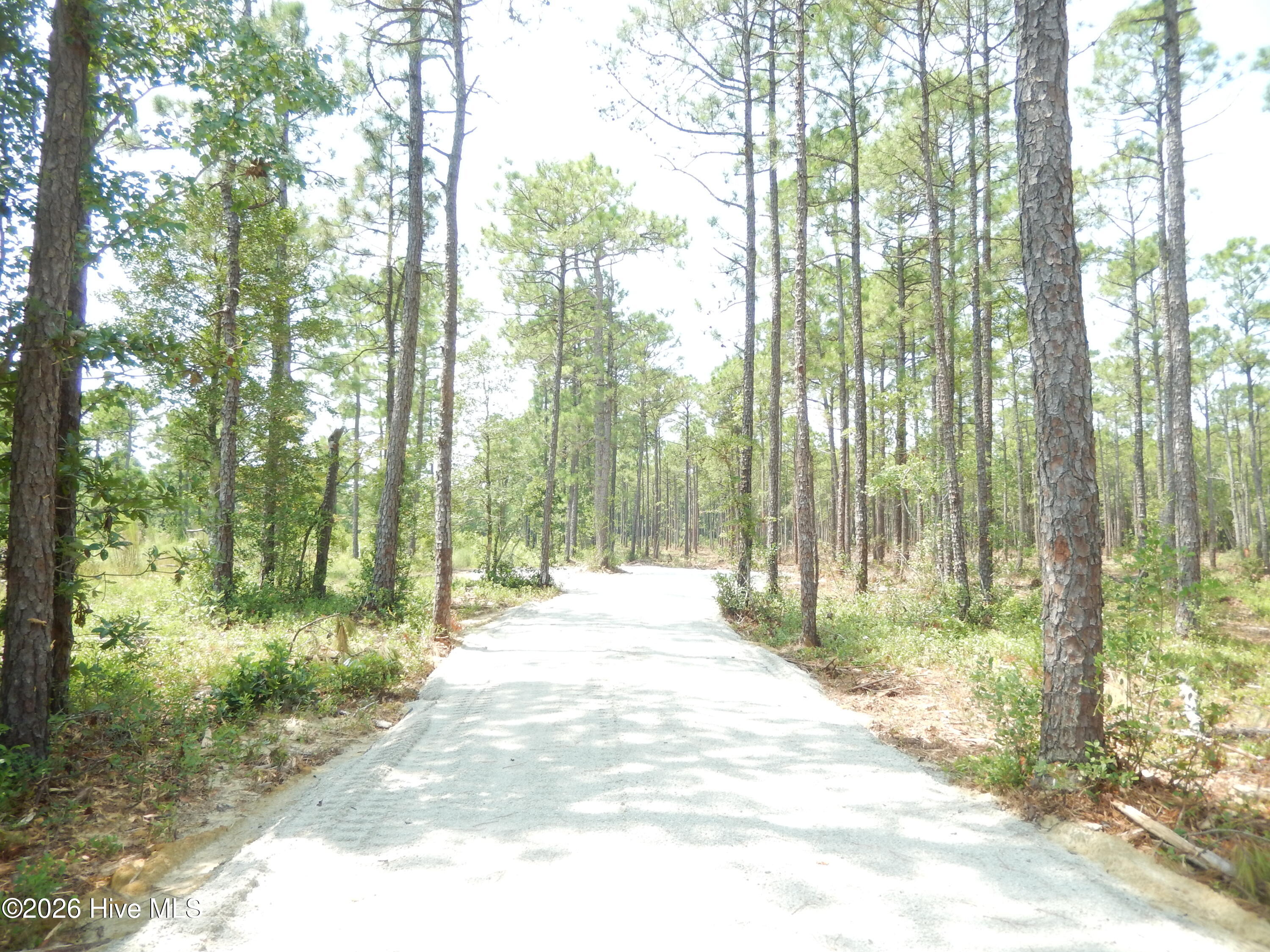 372 Greenview Ranches Property Photo 9