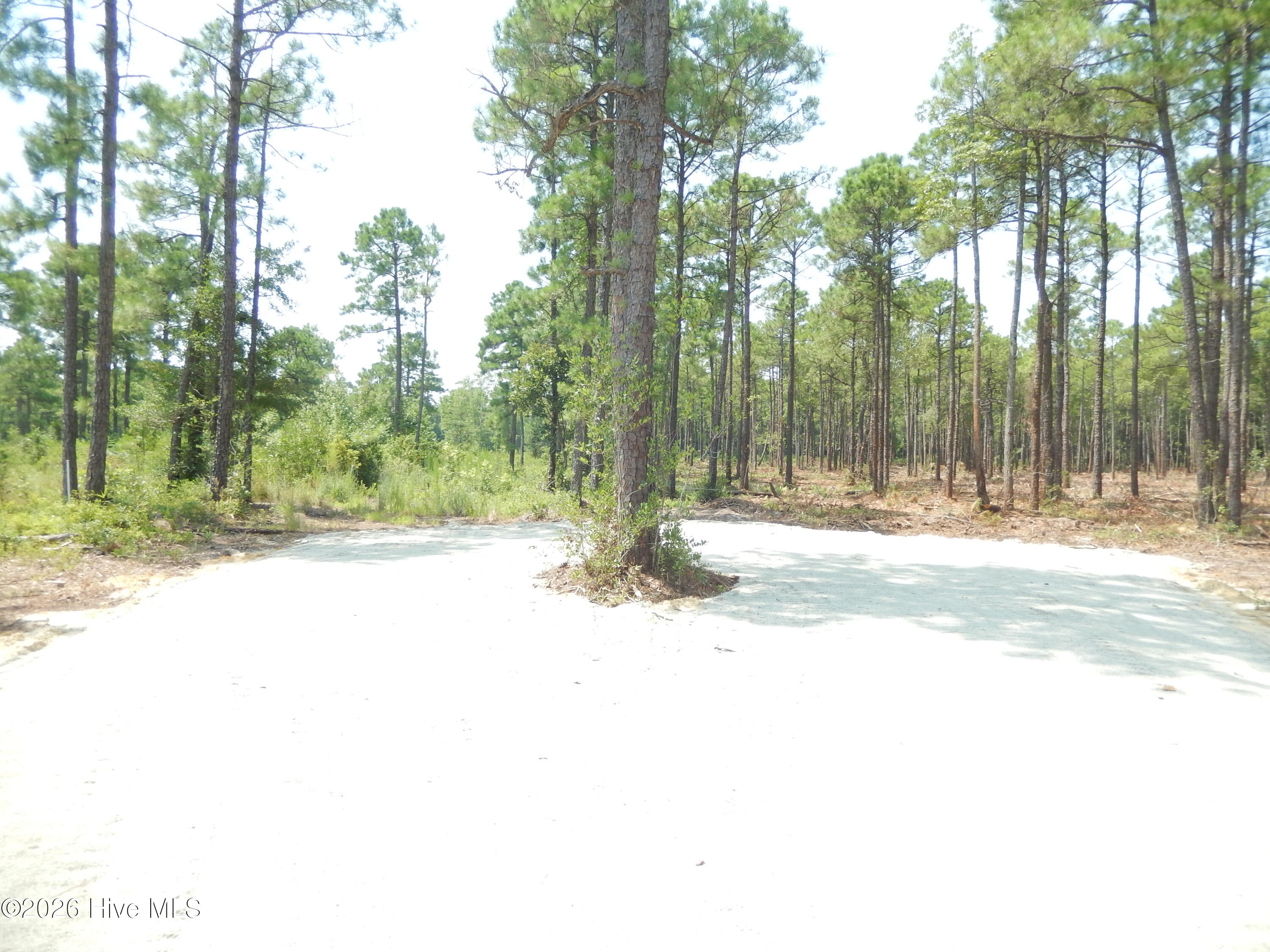 372 Greenview Ranches Property Photo 10