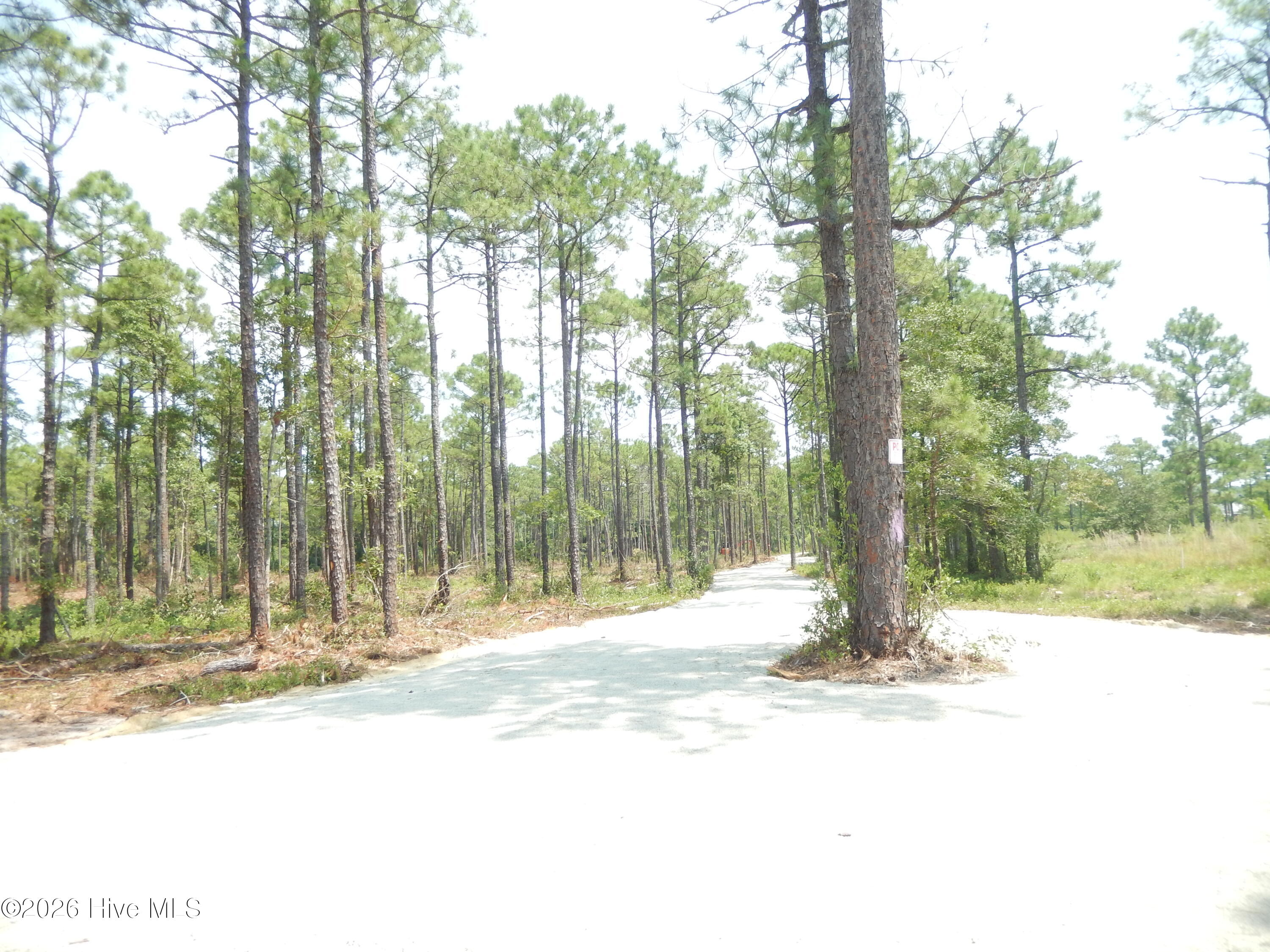 372 Greenview Ranches Property Photo 11