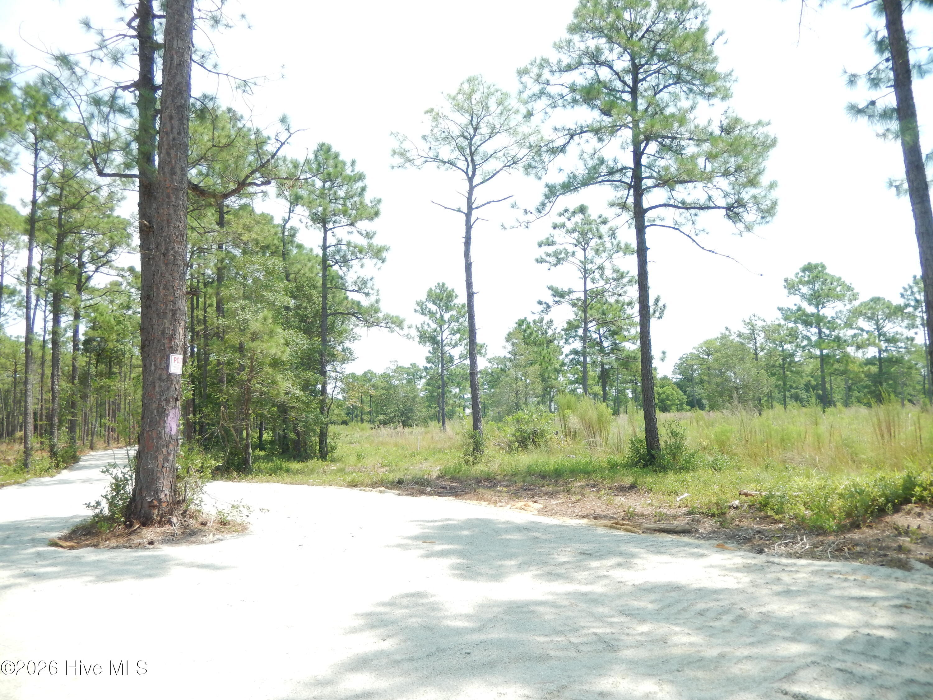 372 Greenview Ranches Property Photo 12