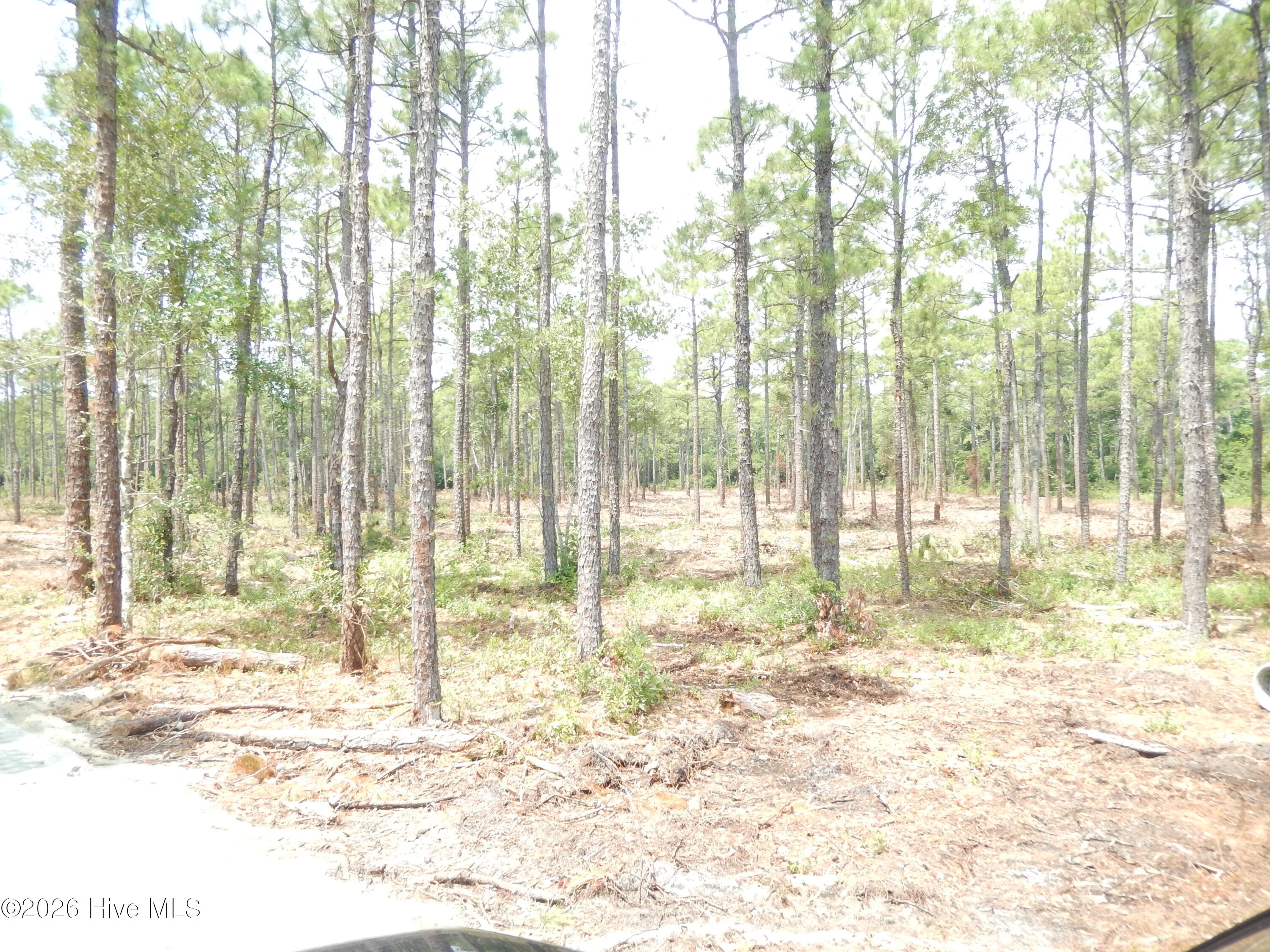 372 Greenview Ranches Property Photo 14