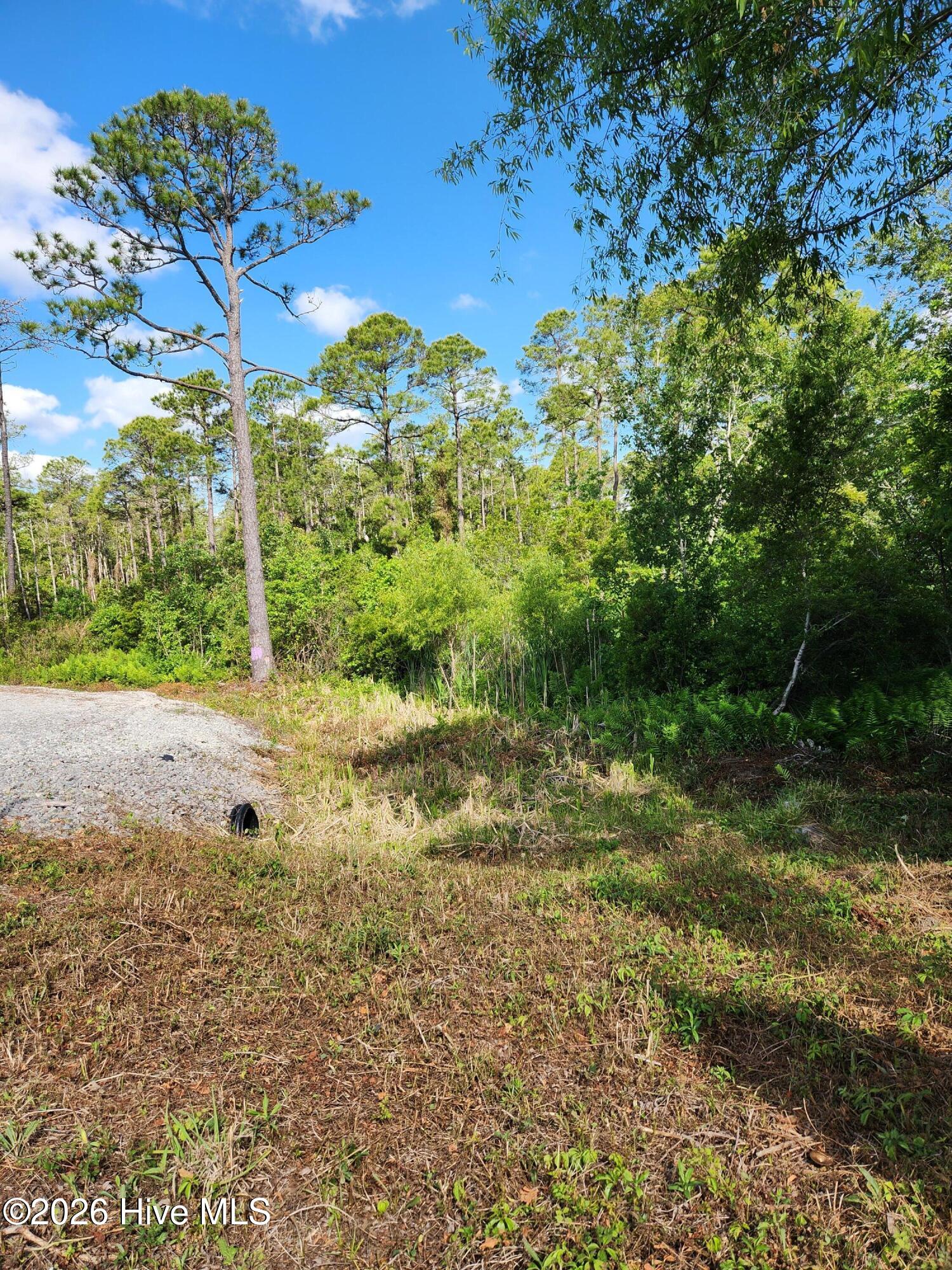 372 Greenview Ranches Property Photo 15