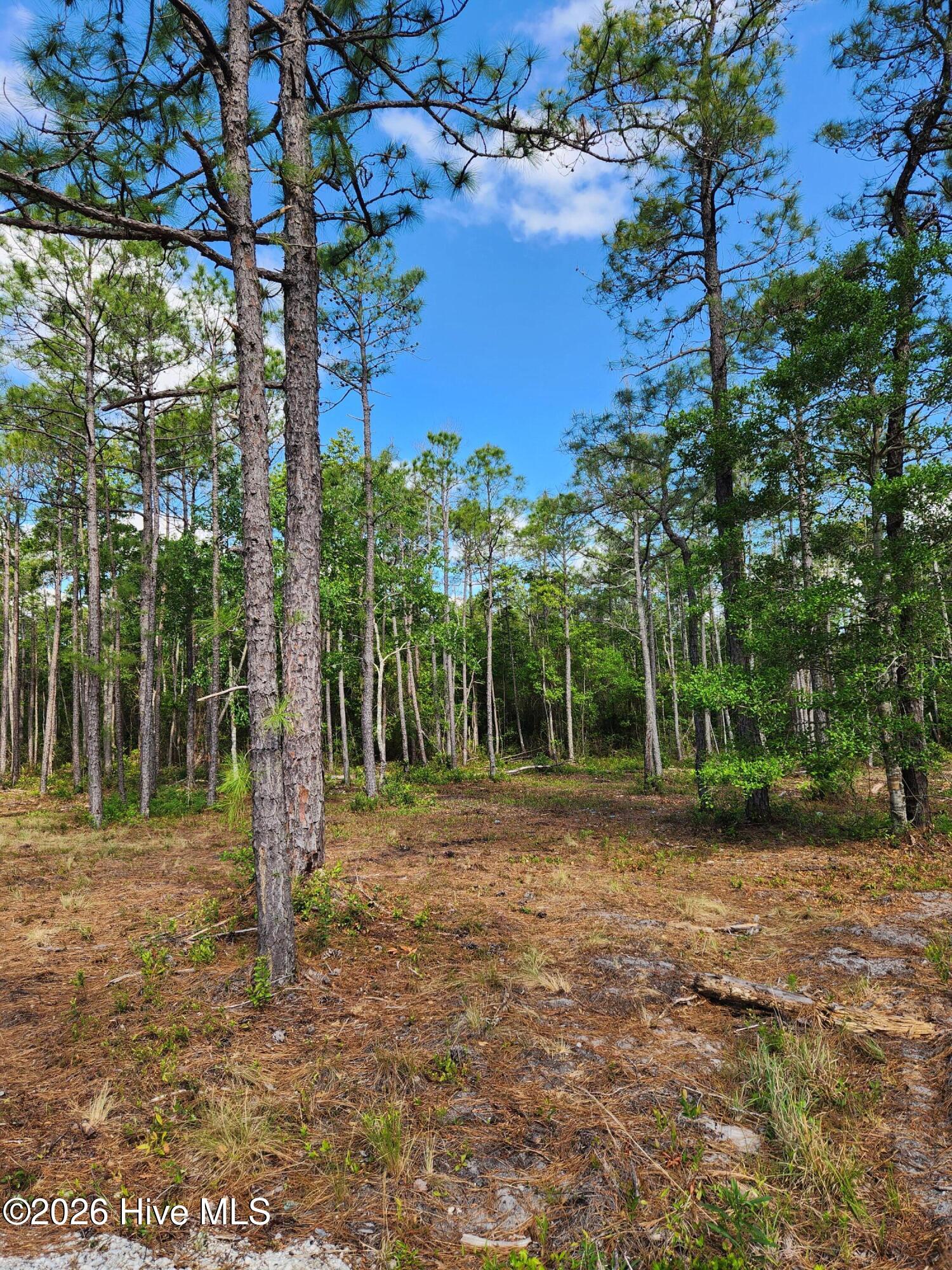 372 Greenview Ranches Property Photo 43