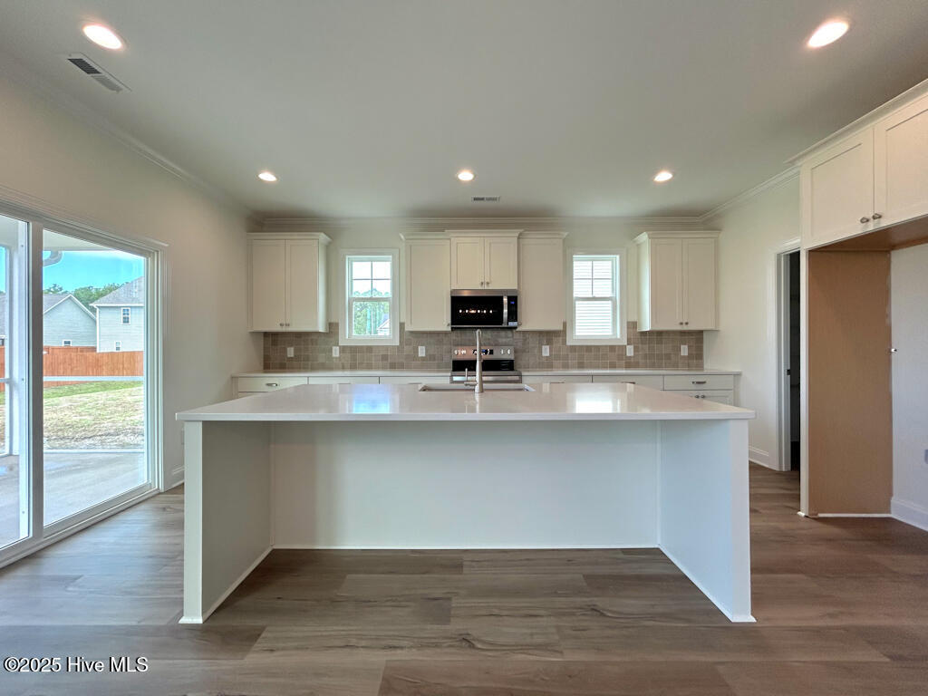 504 Yellow Birch Way Property Photo 33