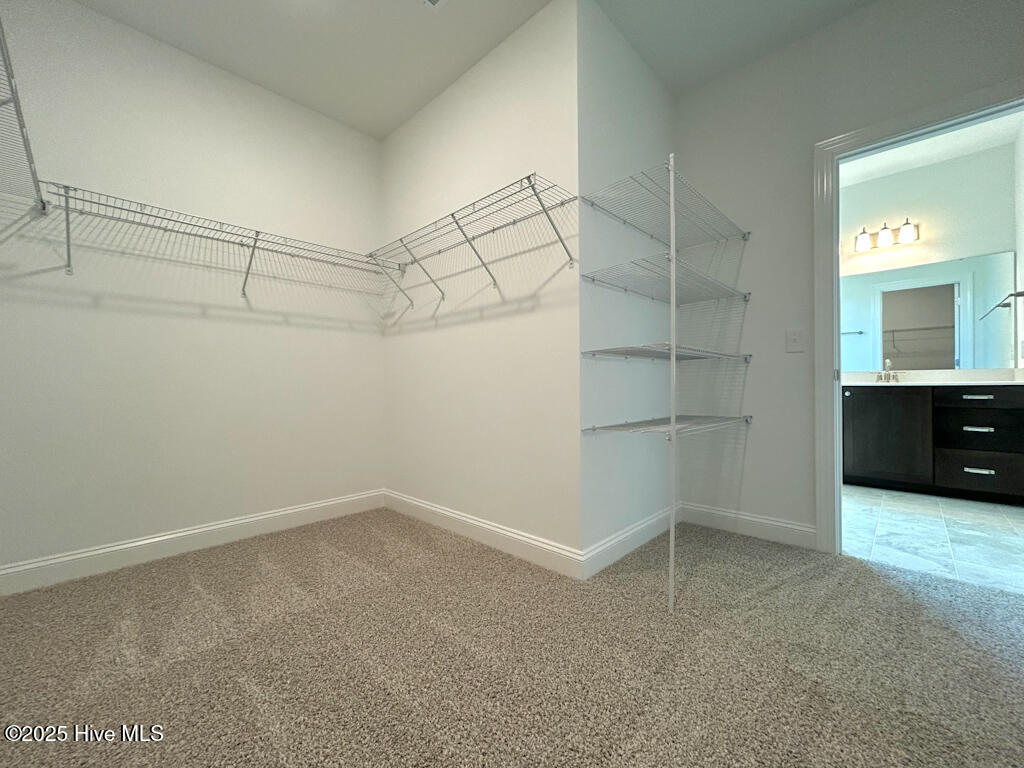 504 Yellow Birch Way Property Photo 66