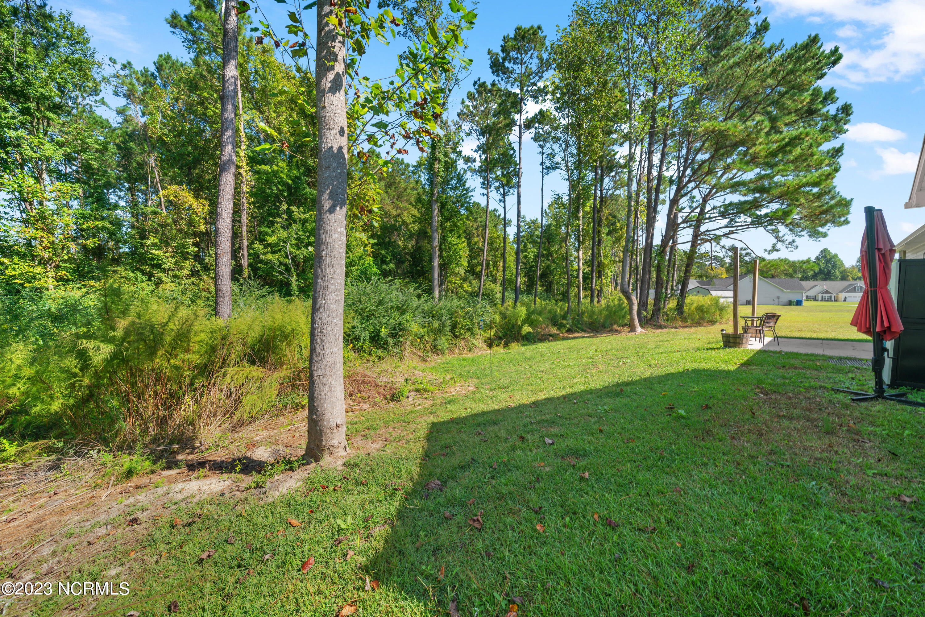 804 Kroger Court Property Photo 18
