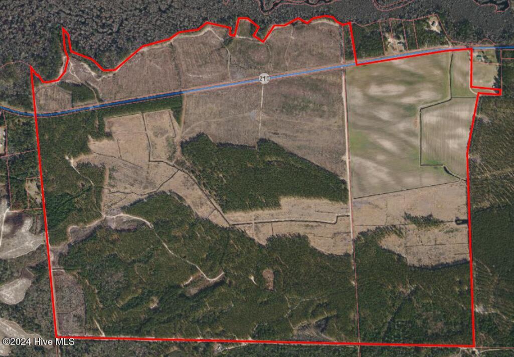 556.18 Ac Nc 210 Hwy Property Photo 1