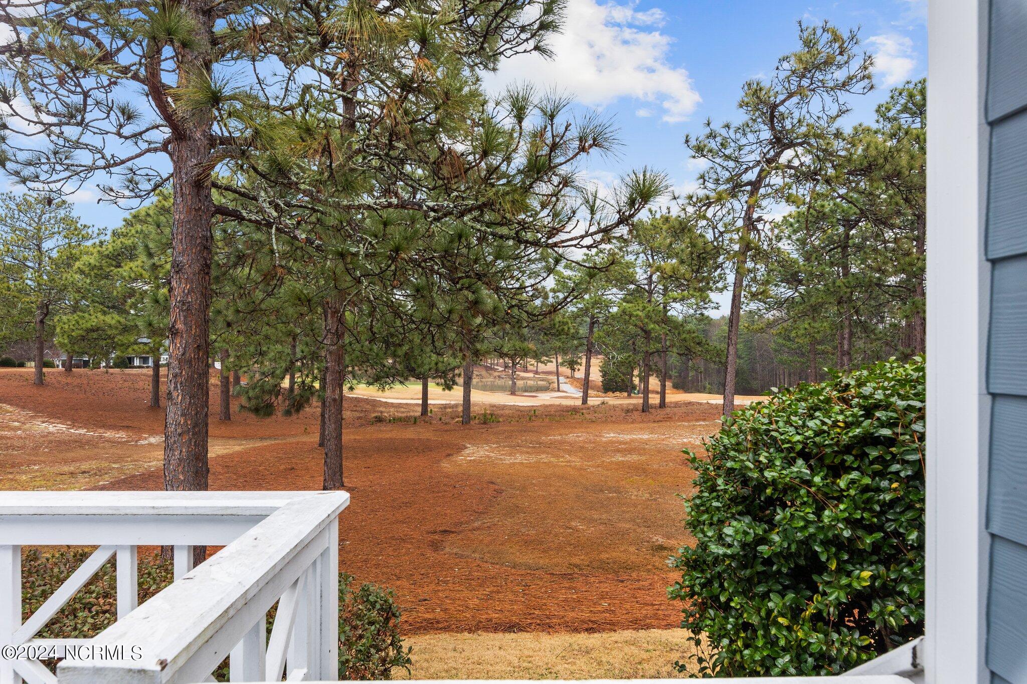 227 Knoll Road Property Photo 16