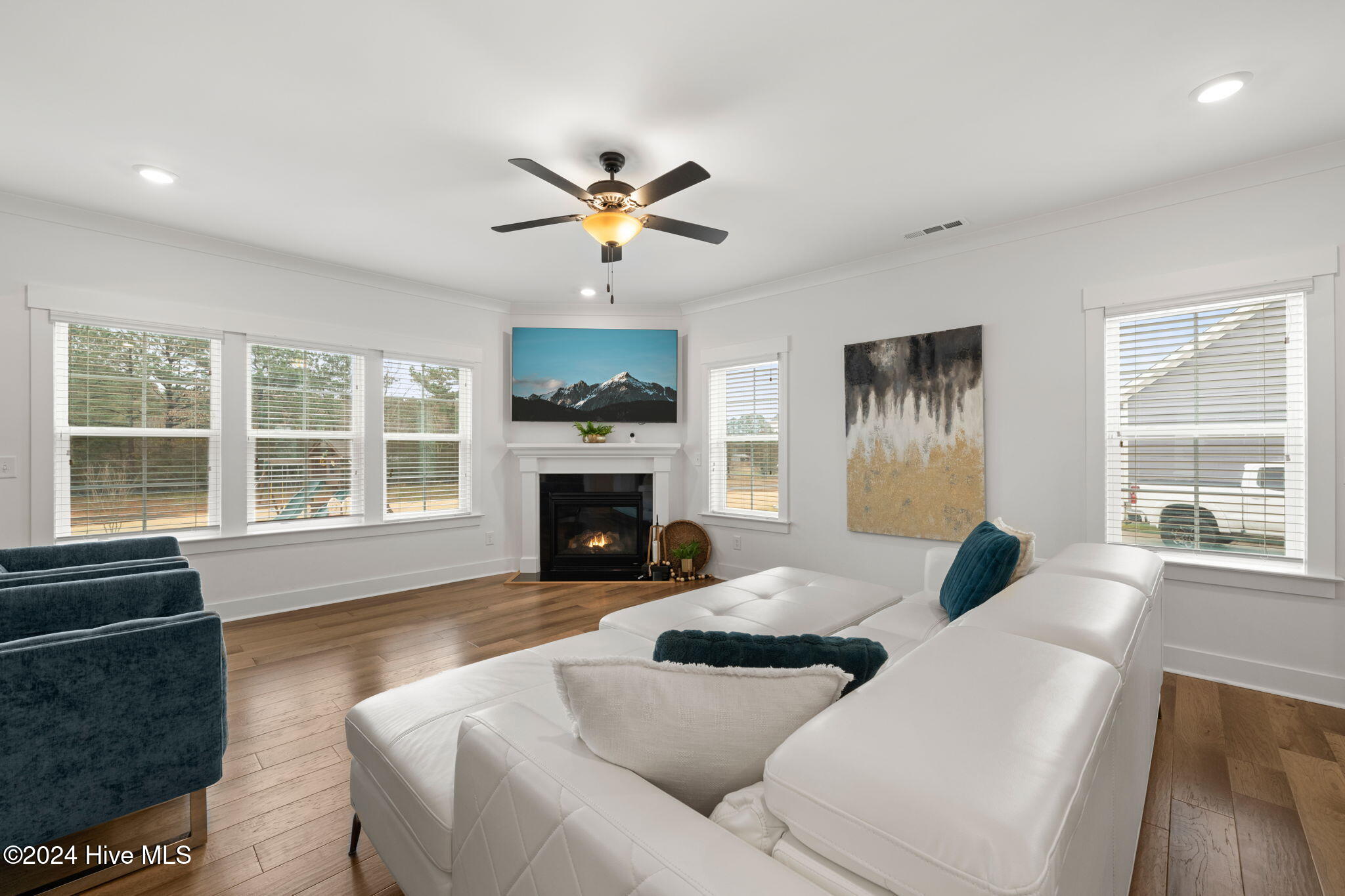 254 Dungannon Property Photo 6