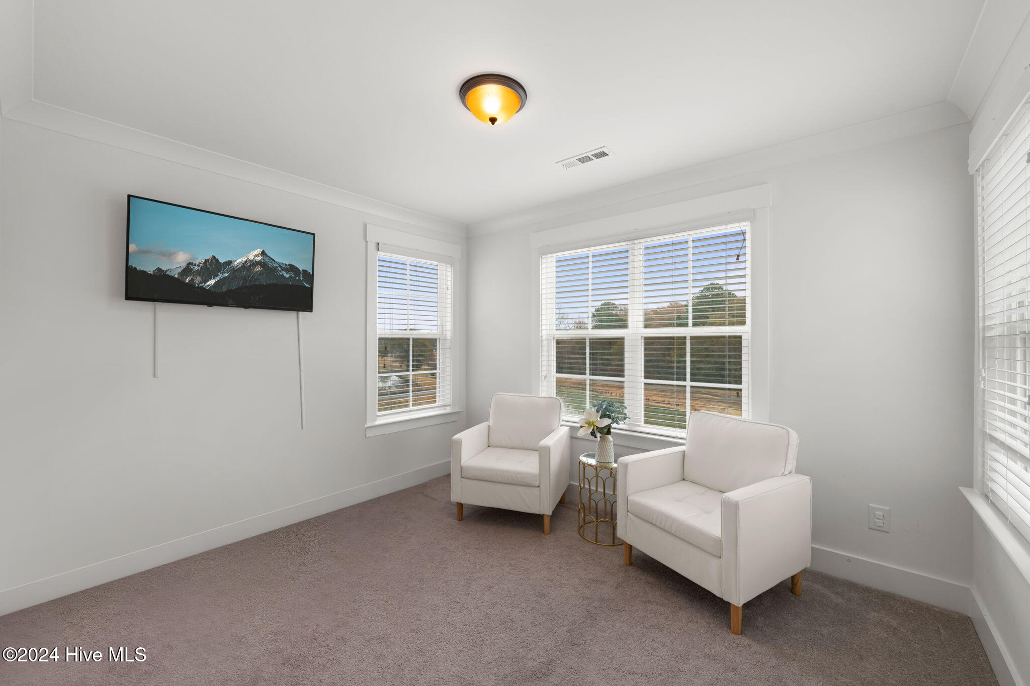 254 Dungannon Property Photo 27