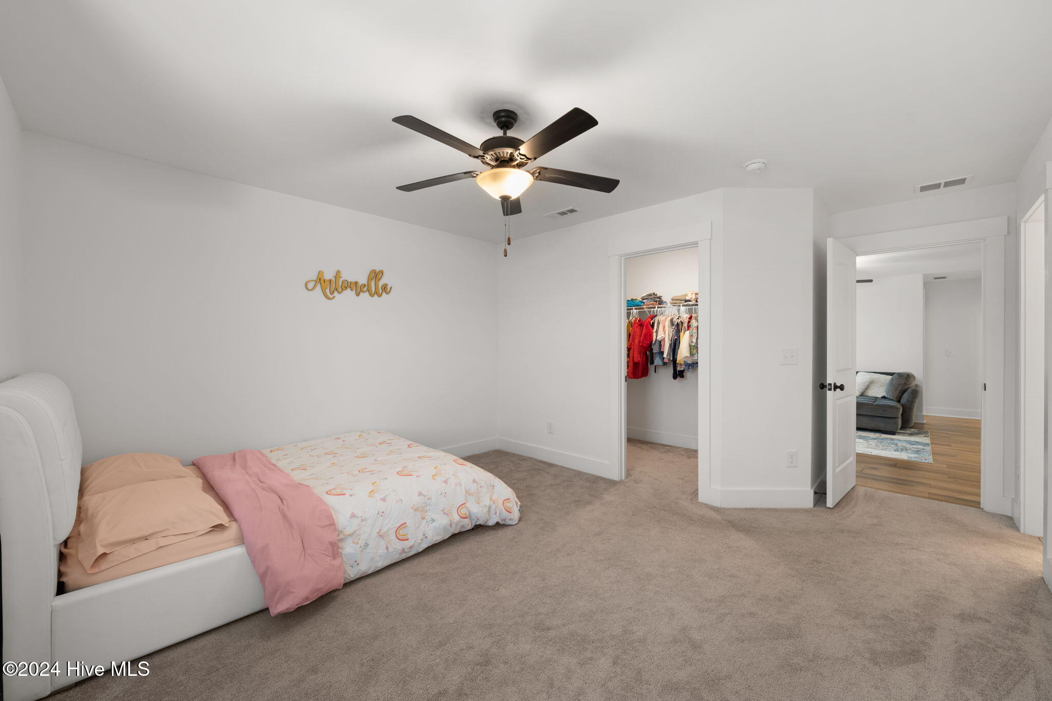 254 Dungannon Property Photo 32