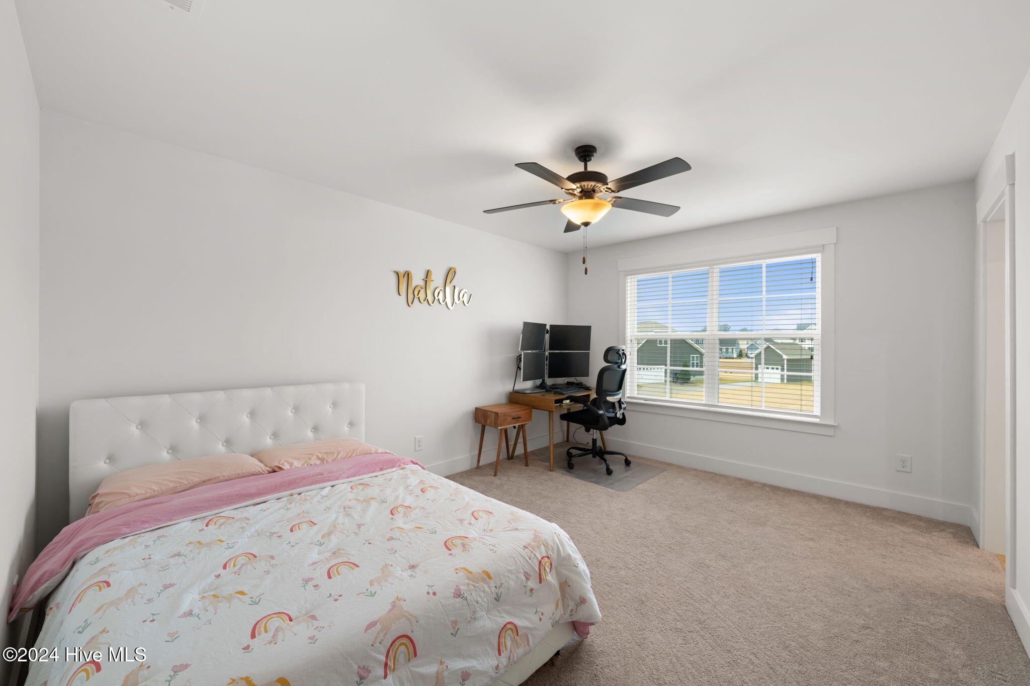 254 Dungannon Property Photo 37