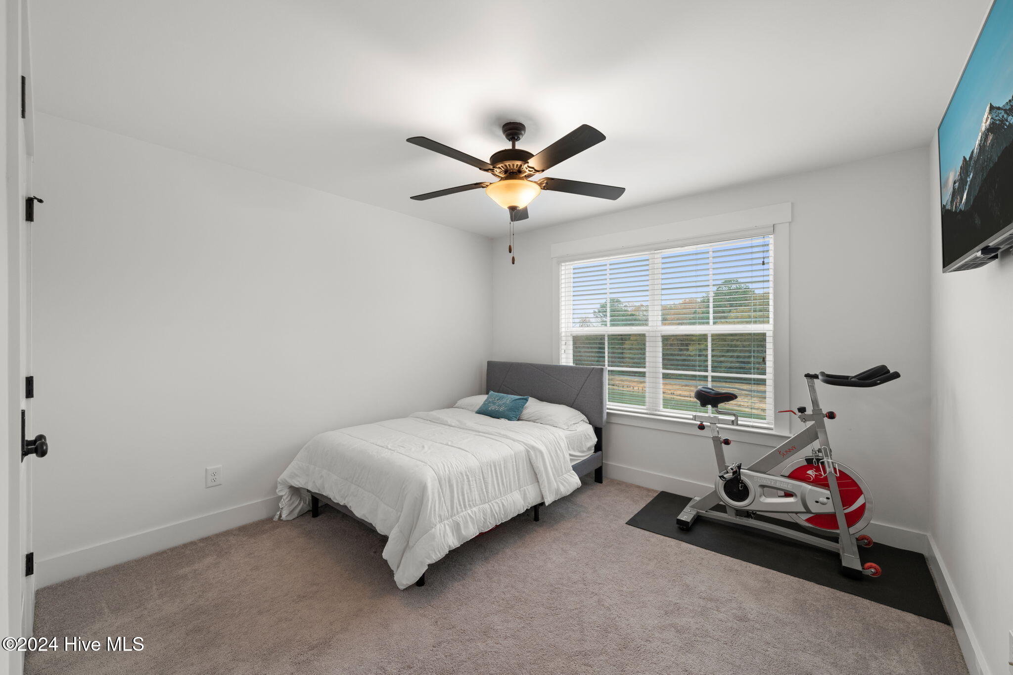 254 Dungannon Property Photo 39