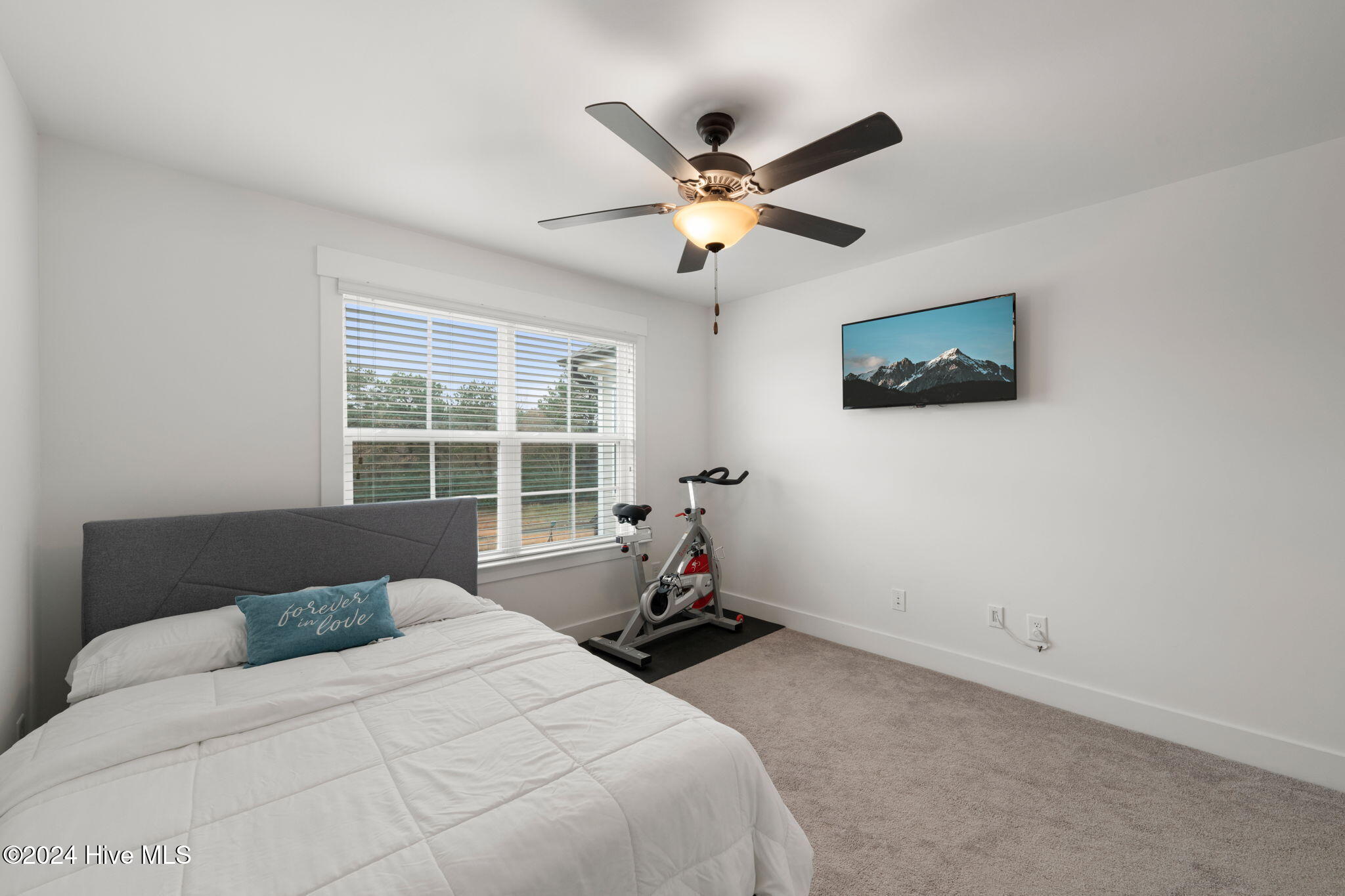 254 Dungannon Property Photo 40