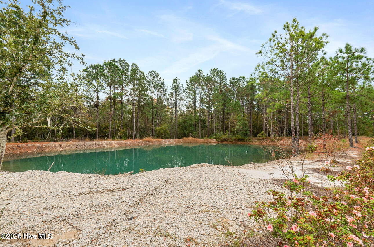 1347 Hwy 172 Property Photo 41