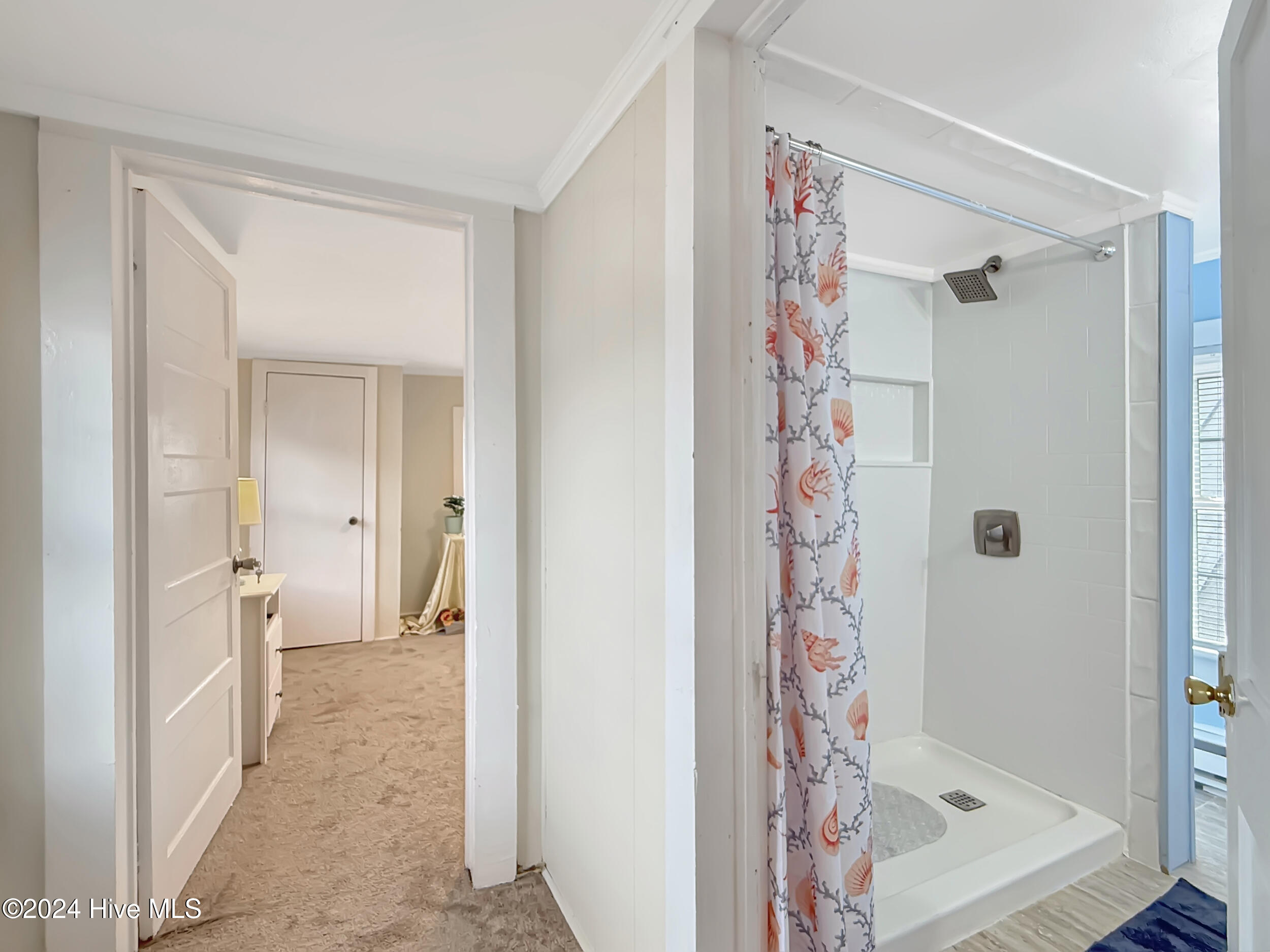 142 E Albemarle Street Property Photo 16