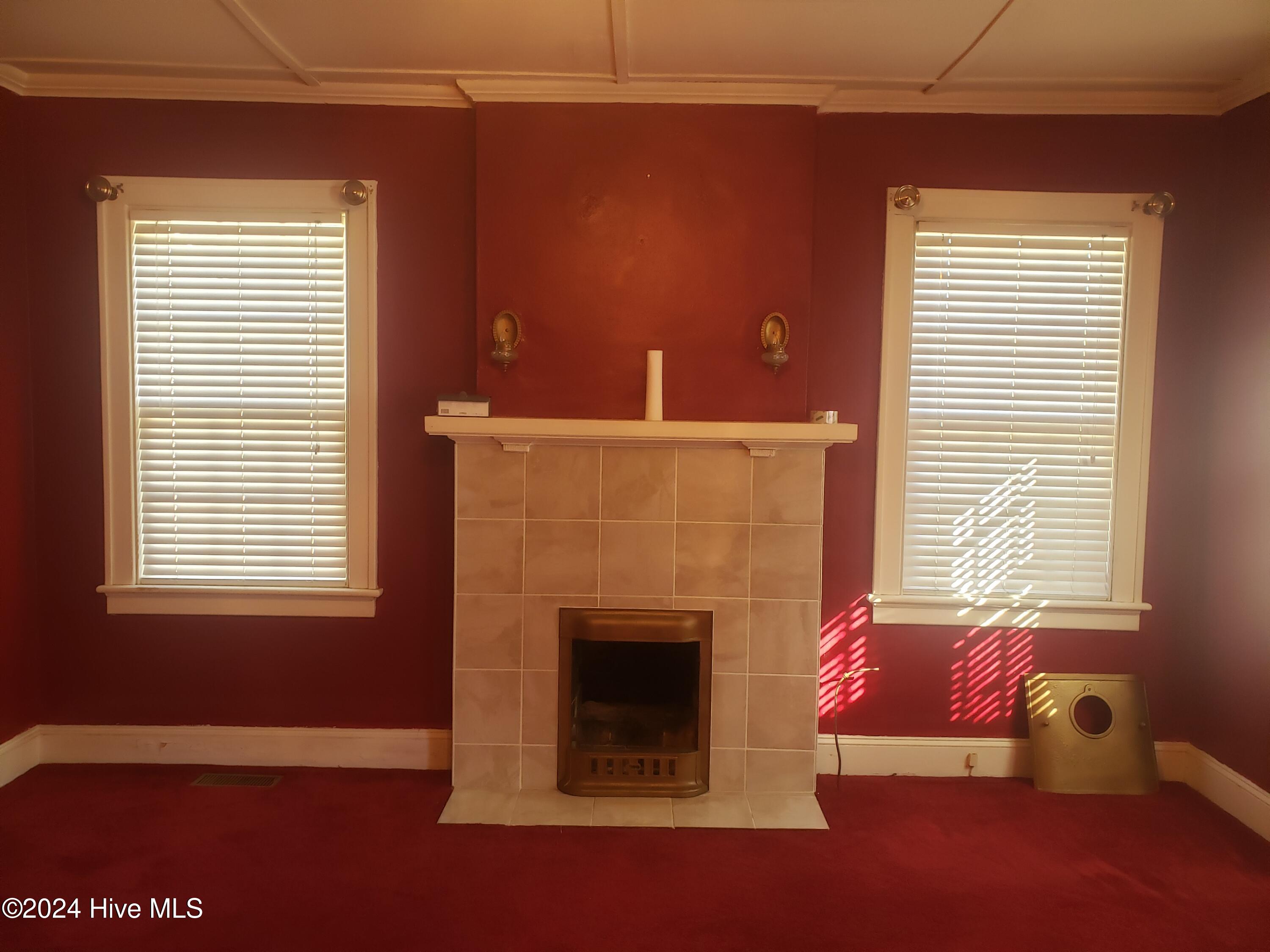 213 W Greene Street Property Photo 7
