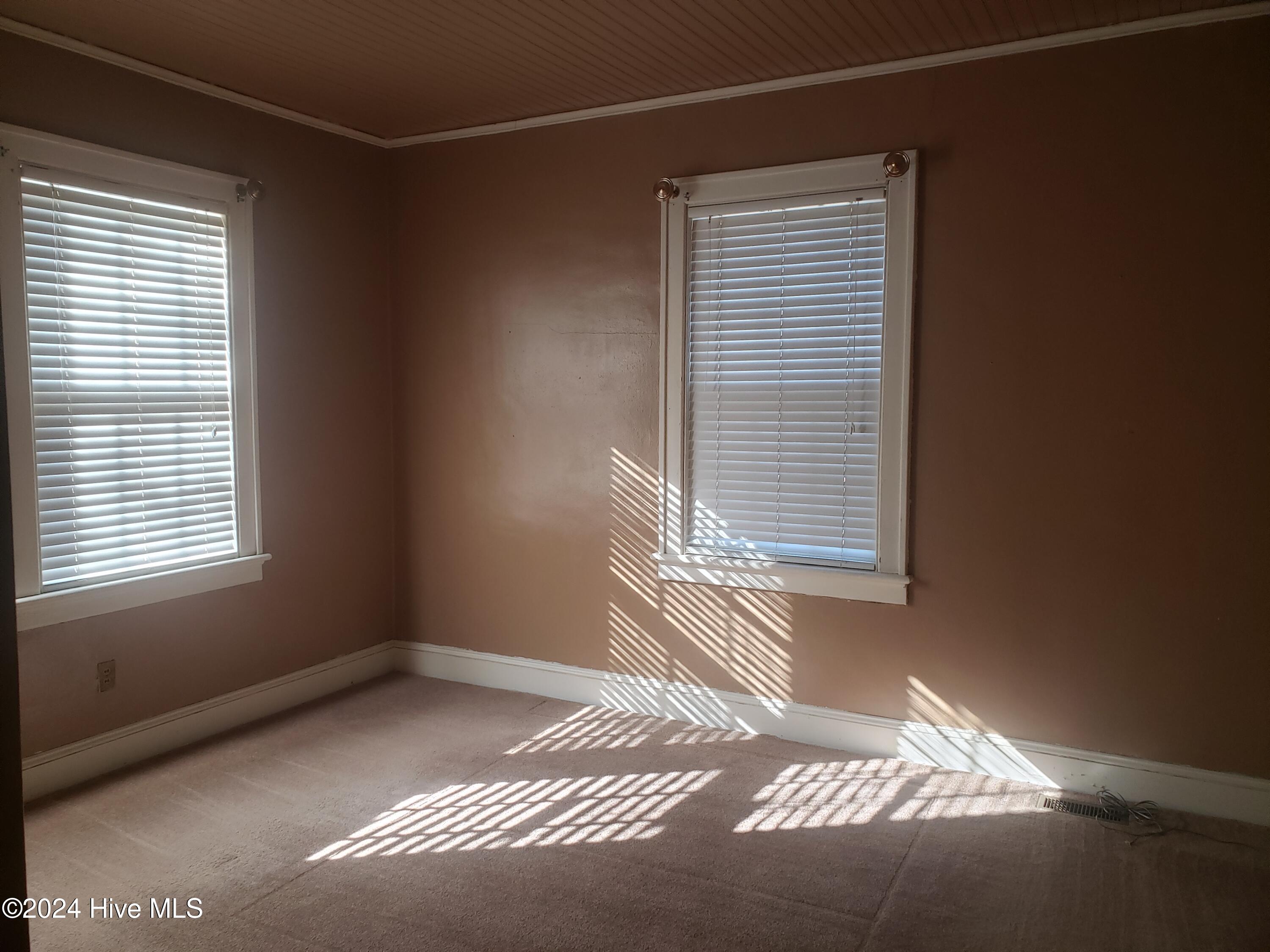 213 W Greene Street Property Photo 19