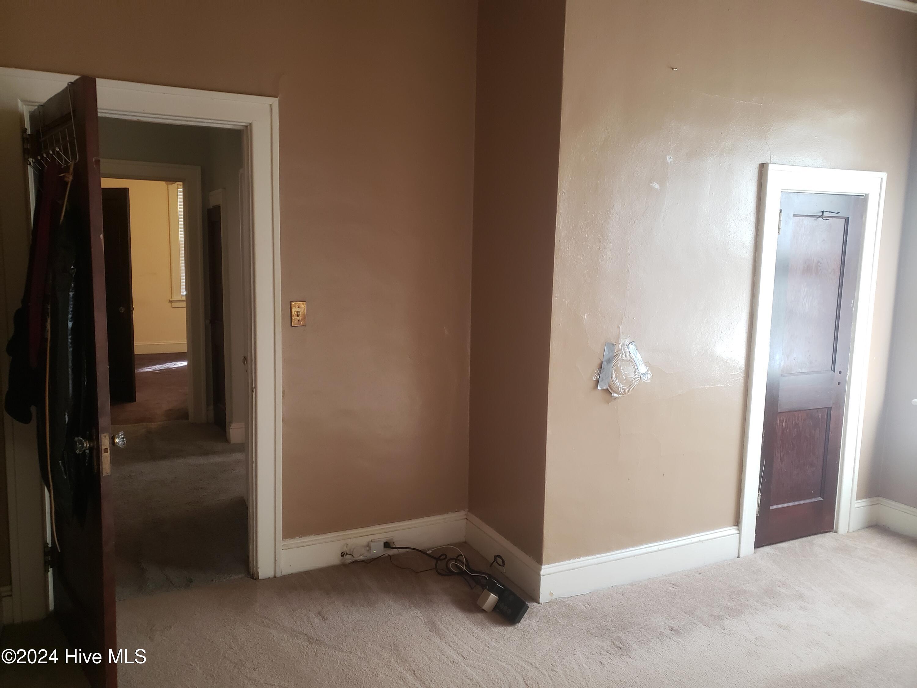 213 W Greene Street Property Photo 20