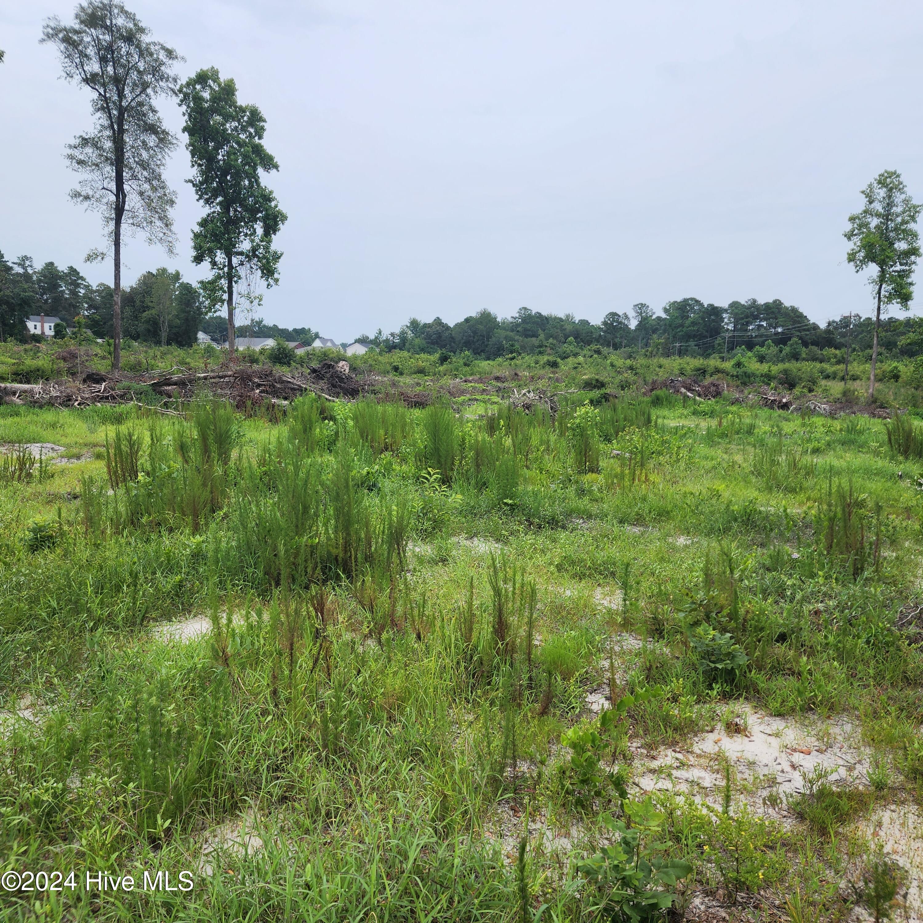 E1107 Eleven Farms Rd. Road Property Photo 6