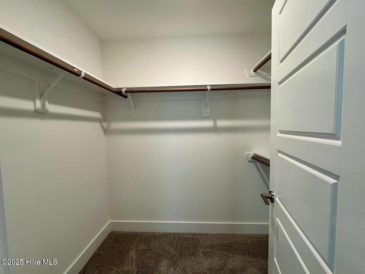 262 Grand Griffon Way Property Photo 34
