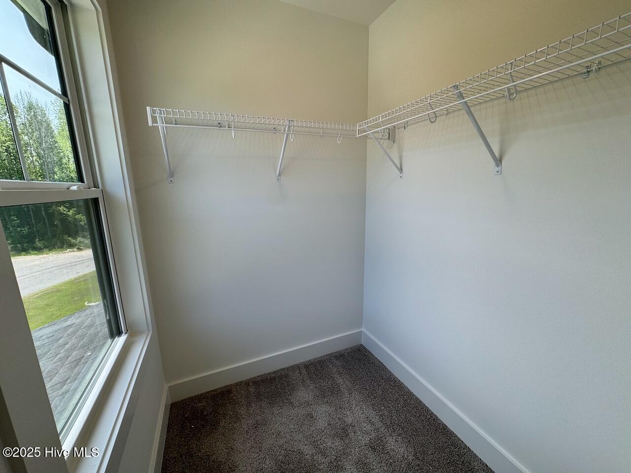 262 Grand Griffon Way Property Photo 36