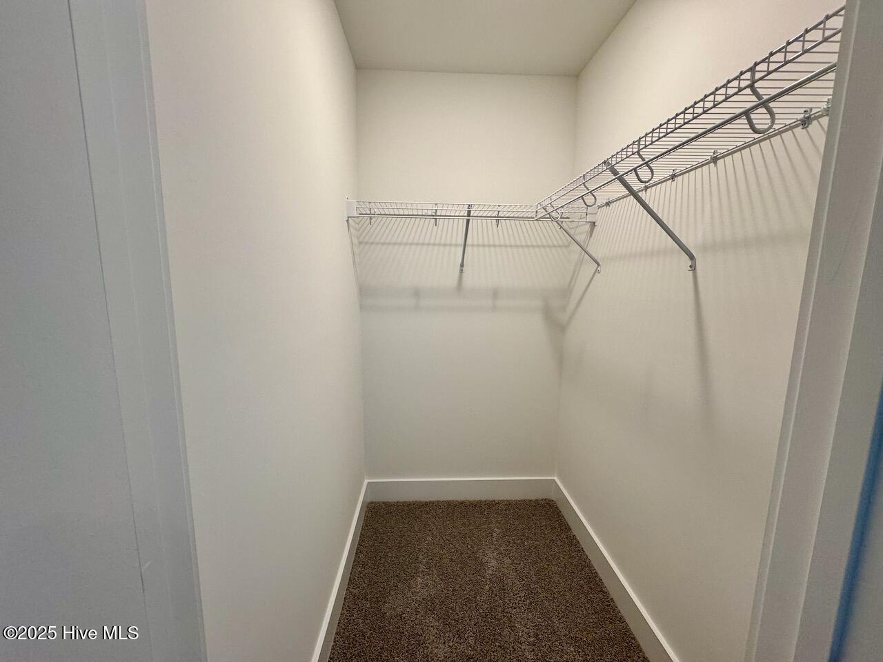 262 Grand Griffon Way Property Photo 41