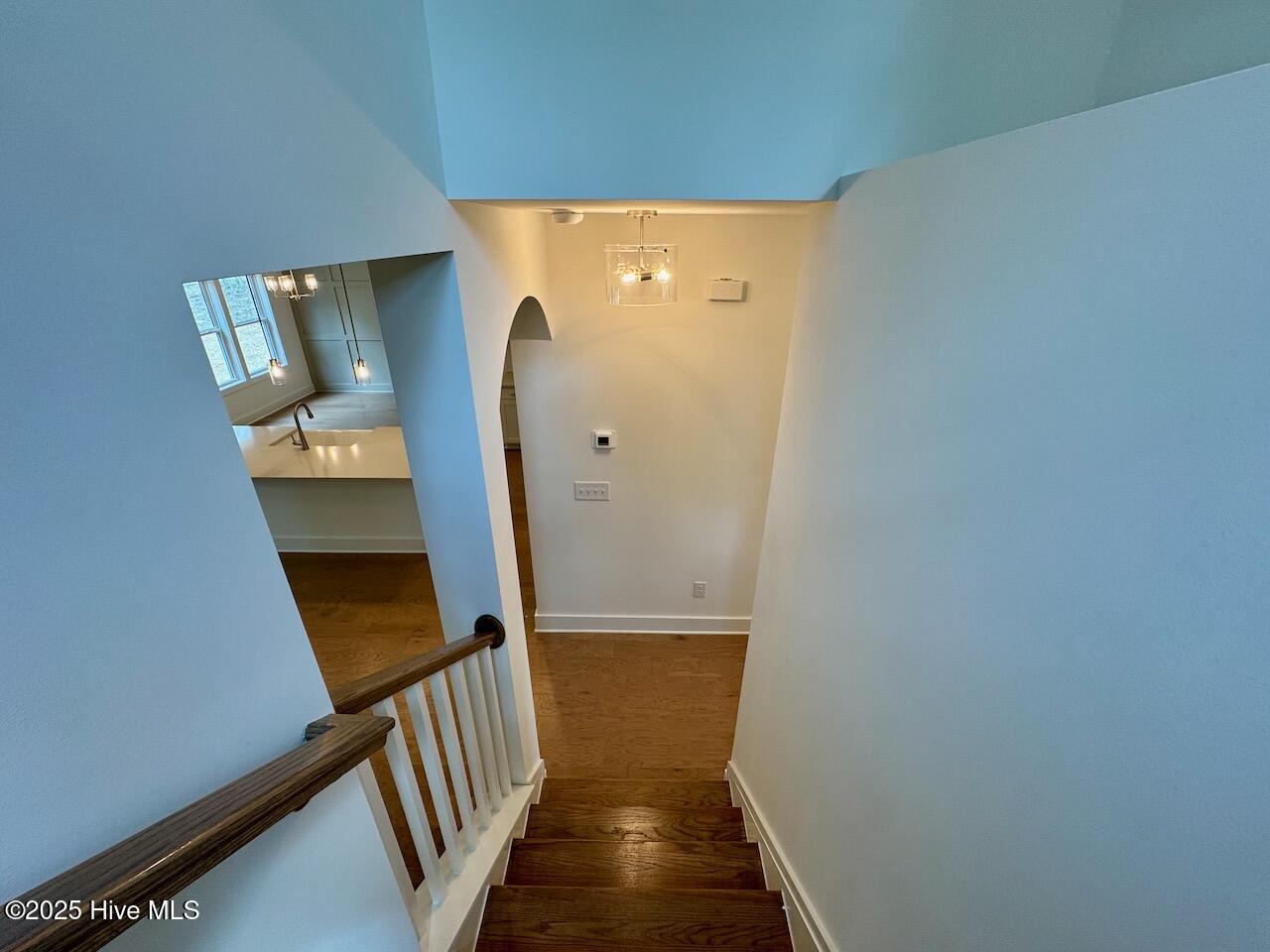 262 Grand Griffon Way Property Photo 45