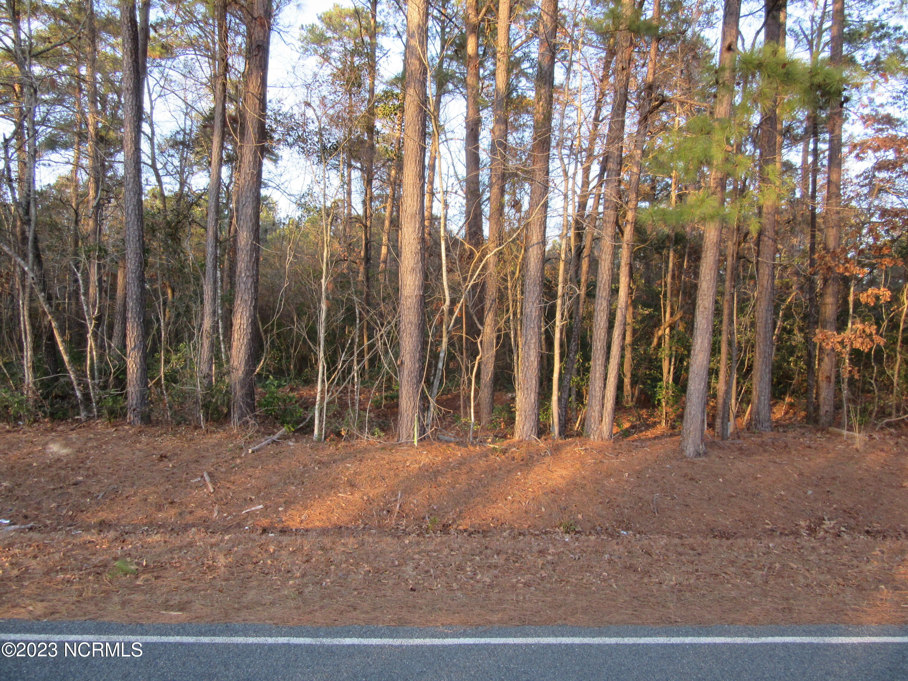 Near 484 John Spaulding Road Property Photo 2