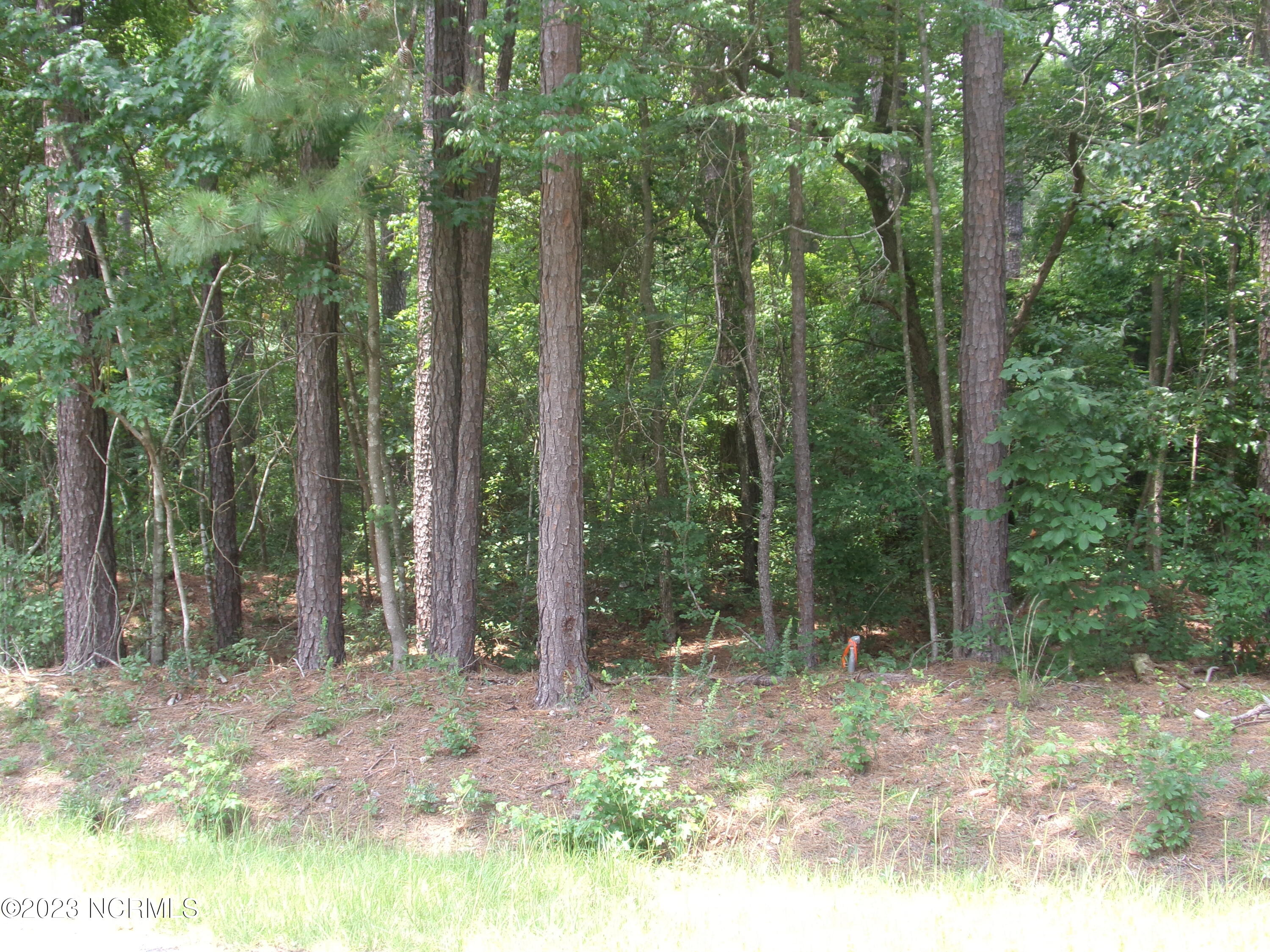 Near 484 John Spaulding Road Property Photo 3