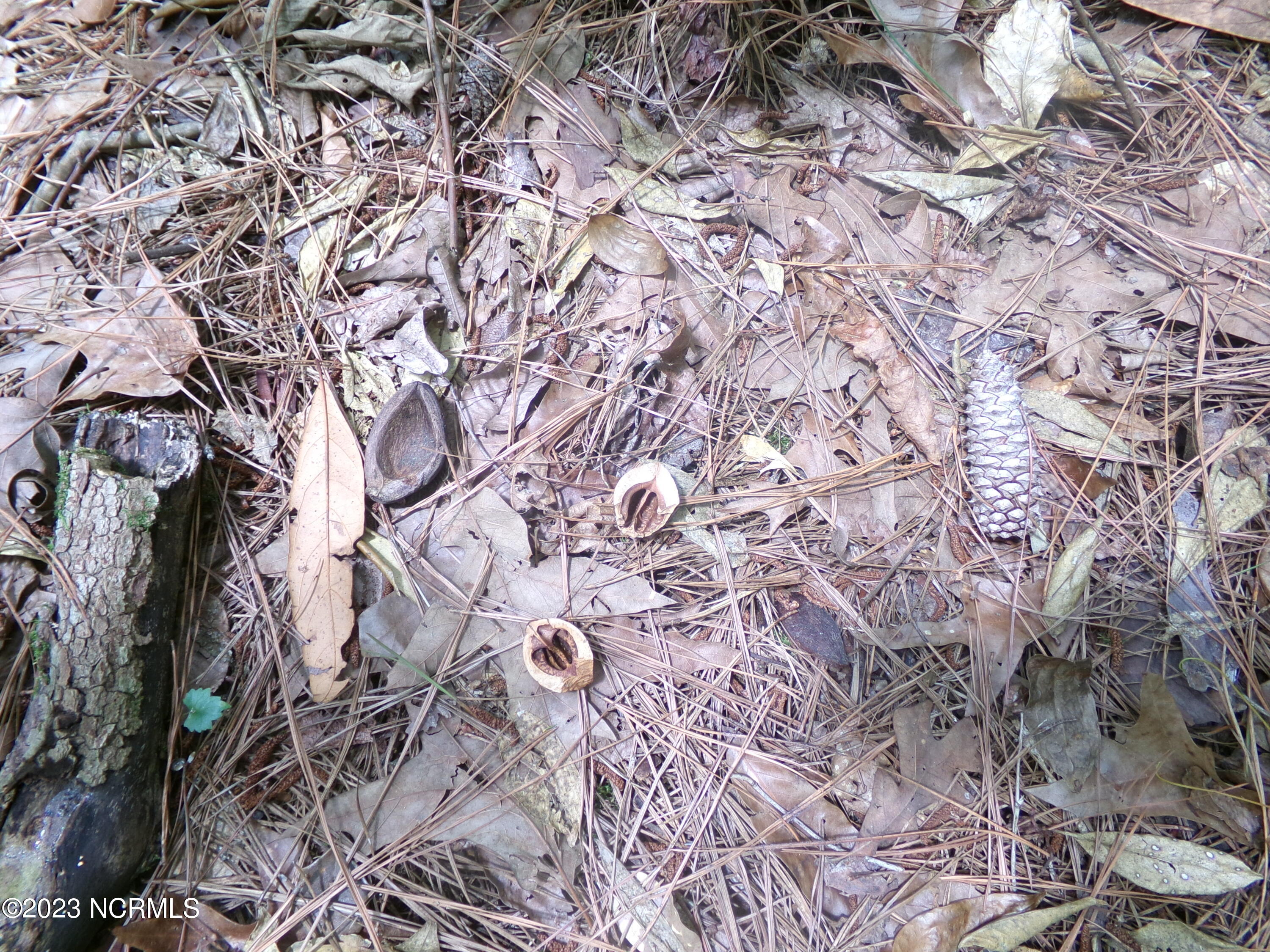 Near 484 John Spaulding Road Property Photo 5