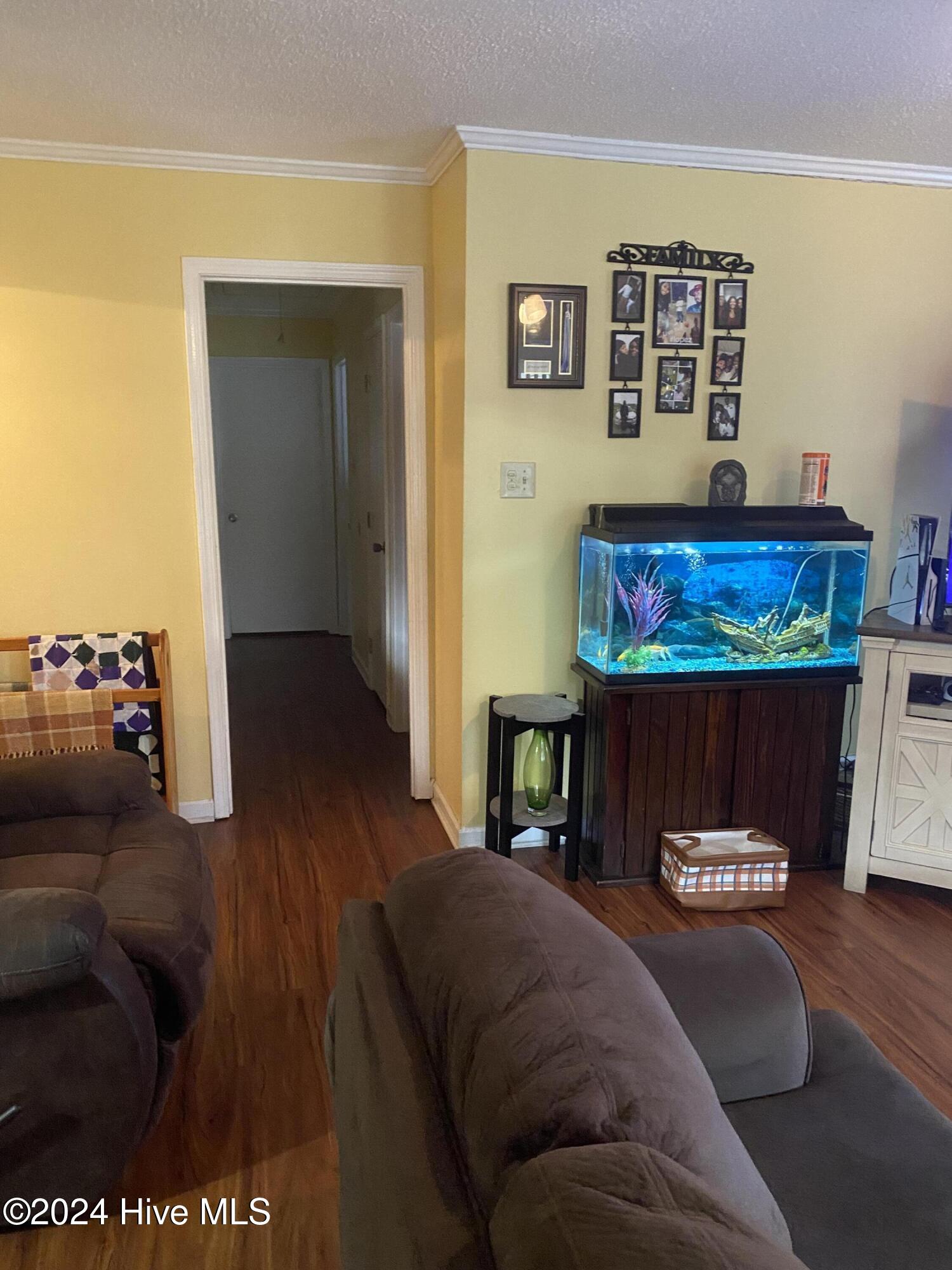 804 Scott Street Property Photo 10