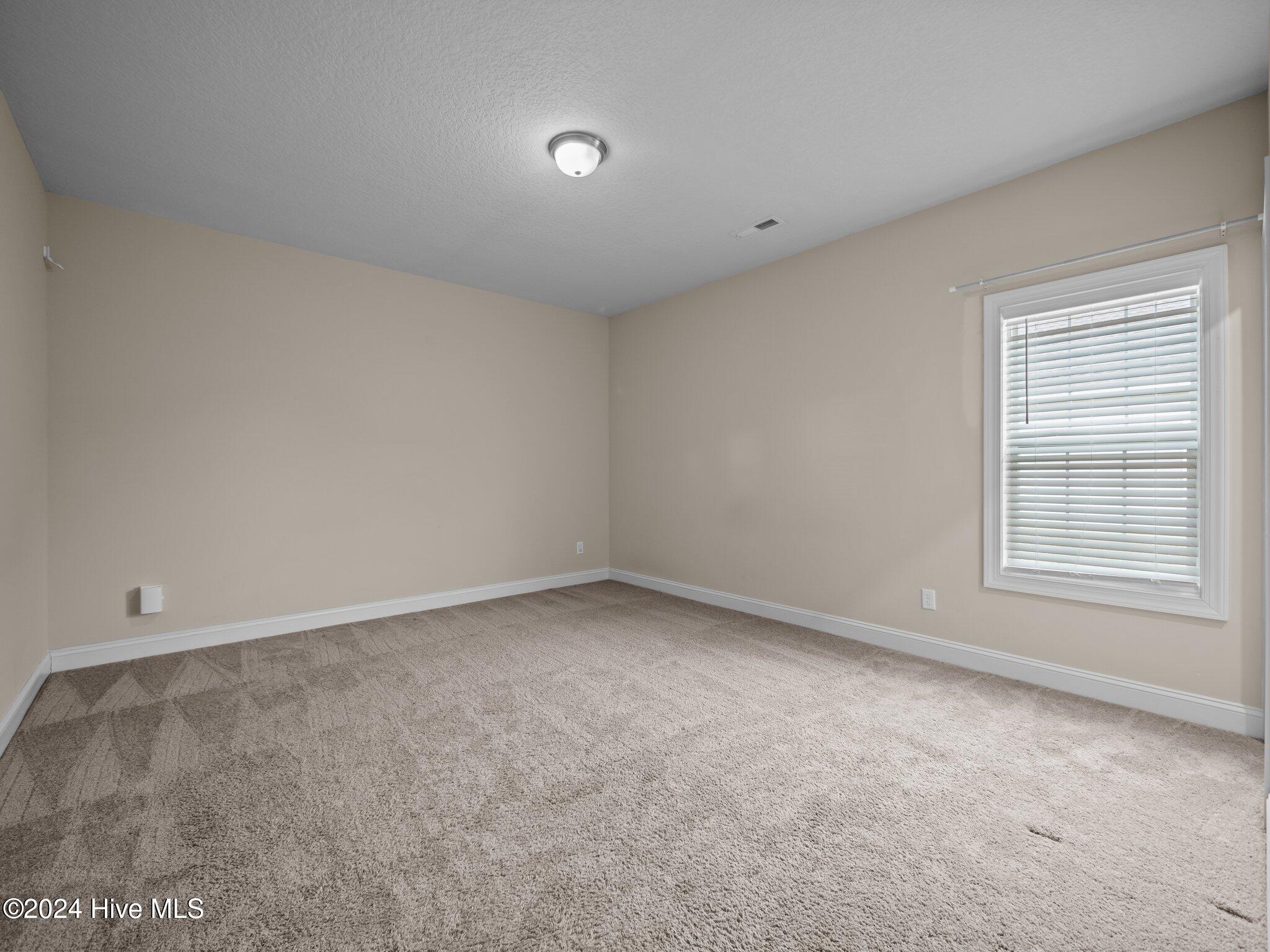 710 Hope Dexter Drive Property Photo 18
