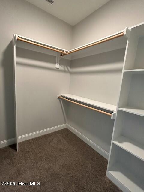 511 E Great Egret Way Property Photo 11