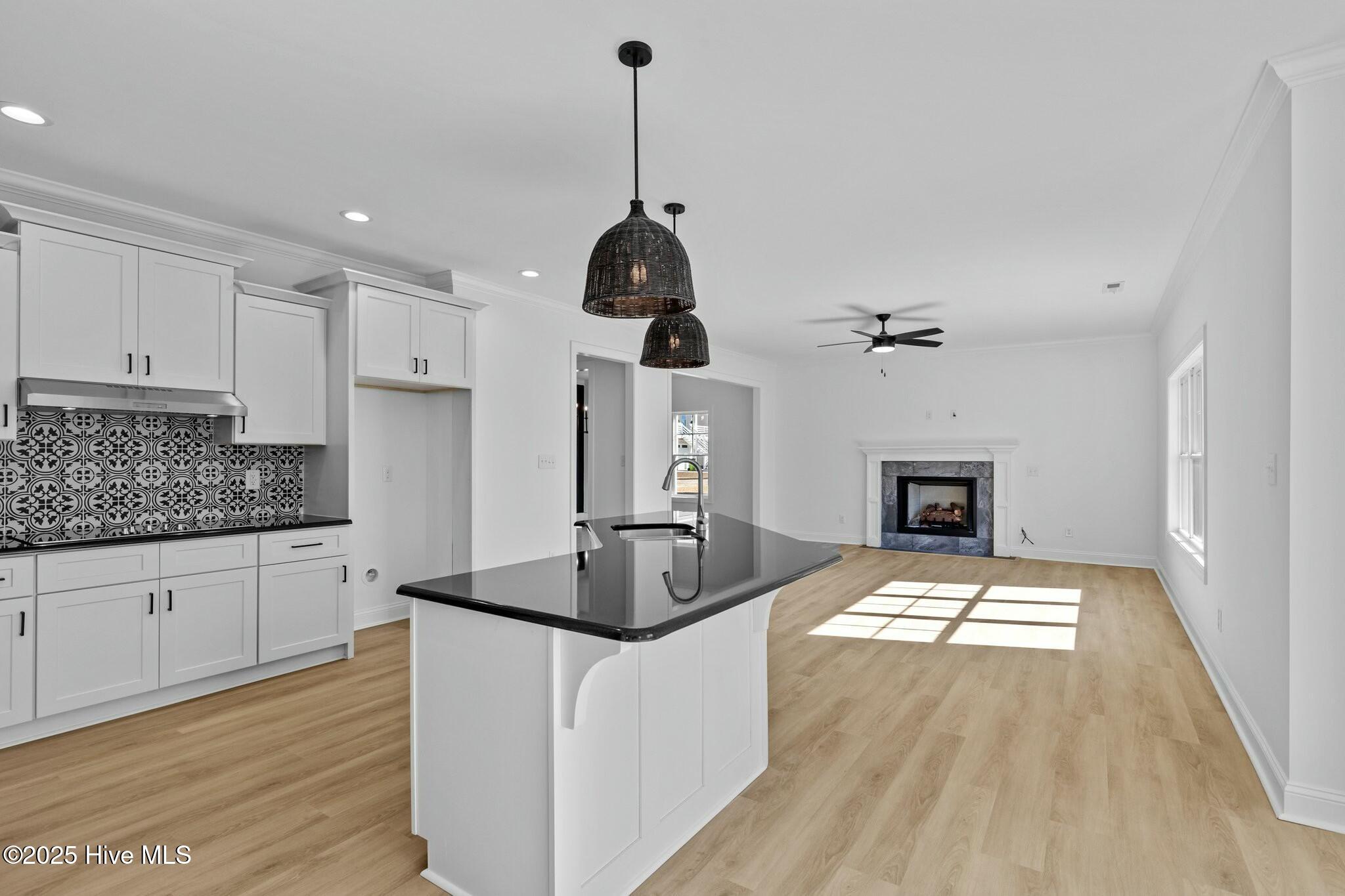 522 E Great Egret Way Property Photo 12