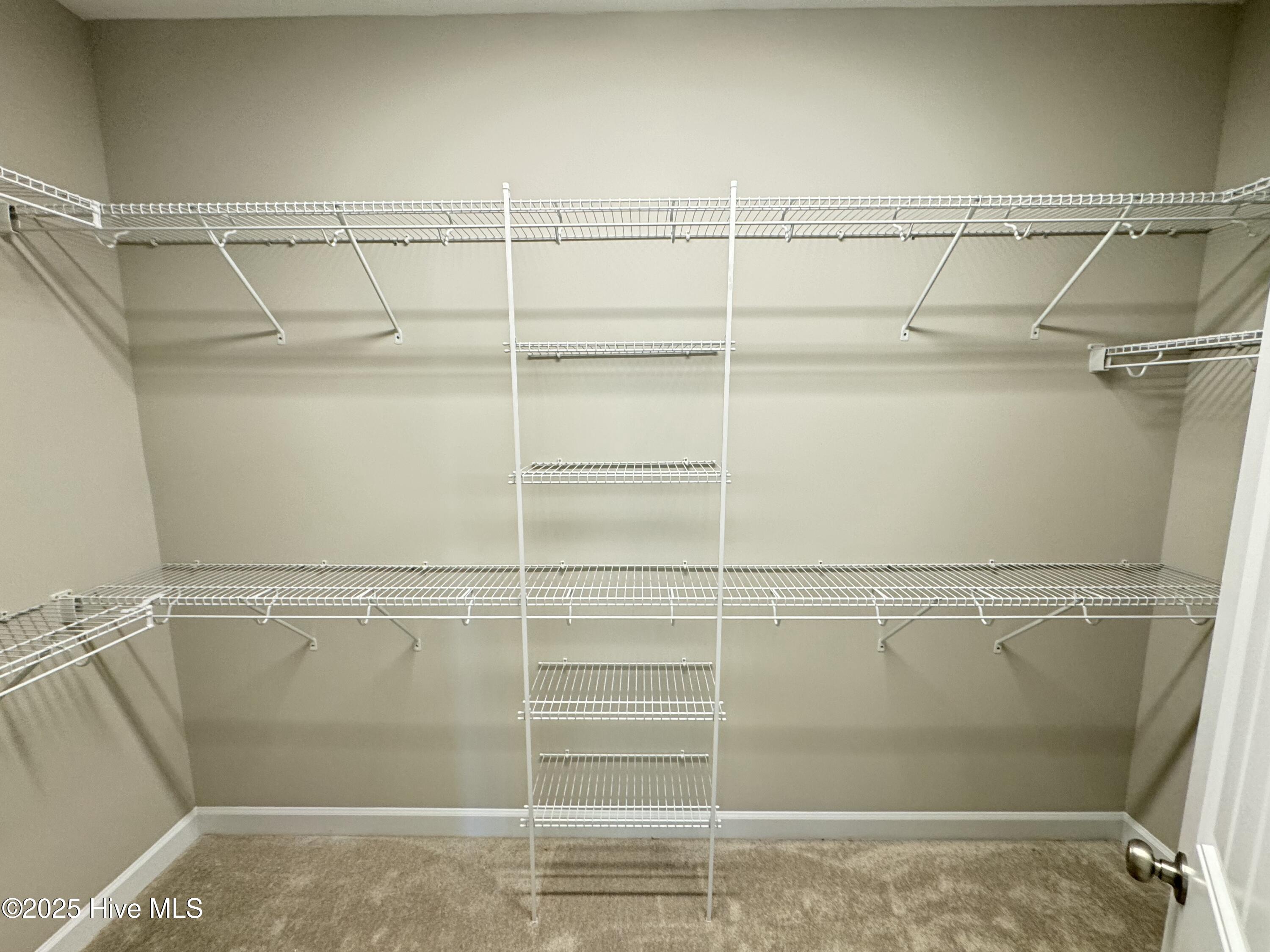 207 Dunbar Hill Drive Property Photo 29