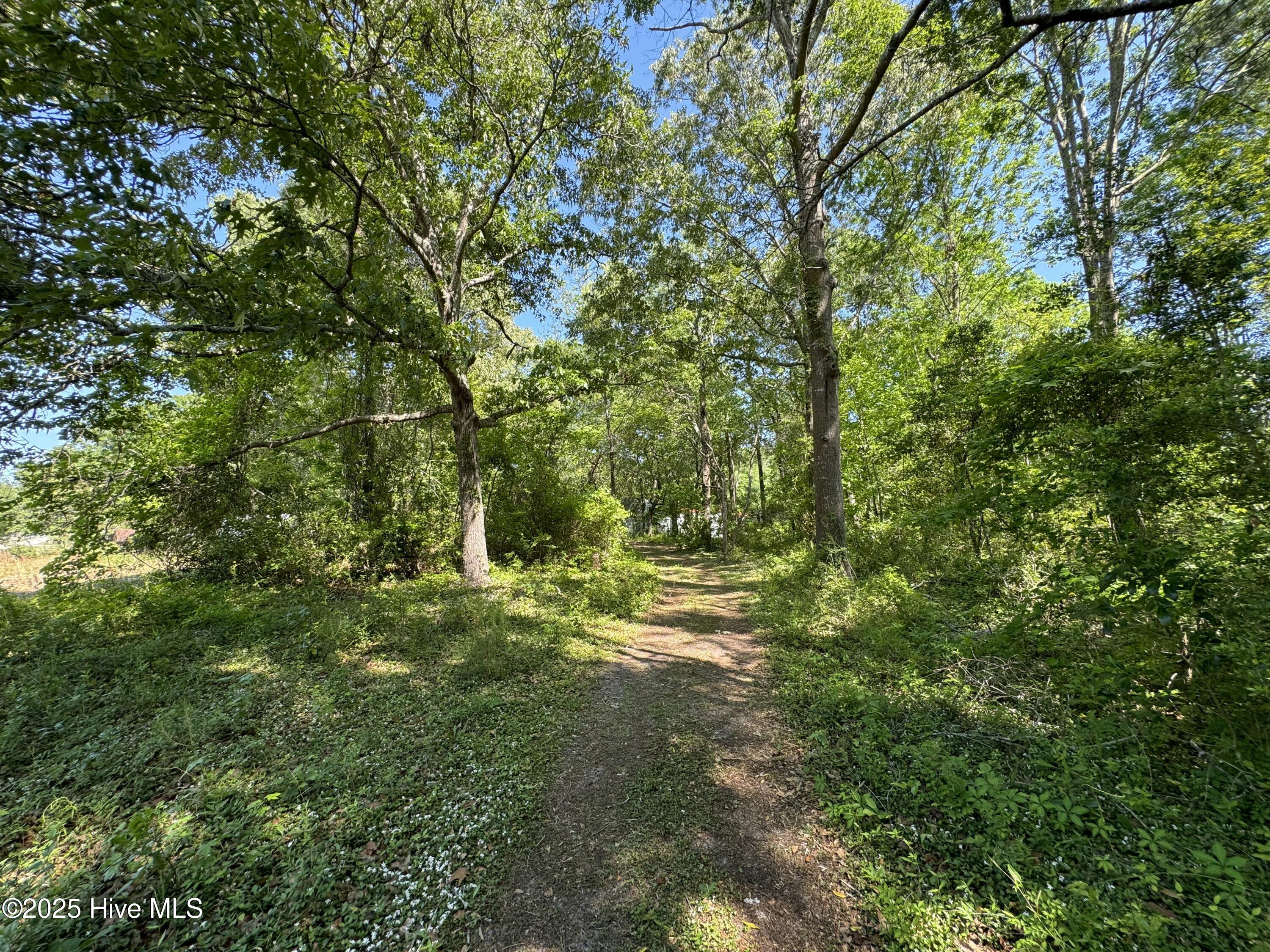 2209 Forest Drive Sw Property Photo 5