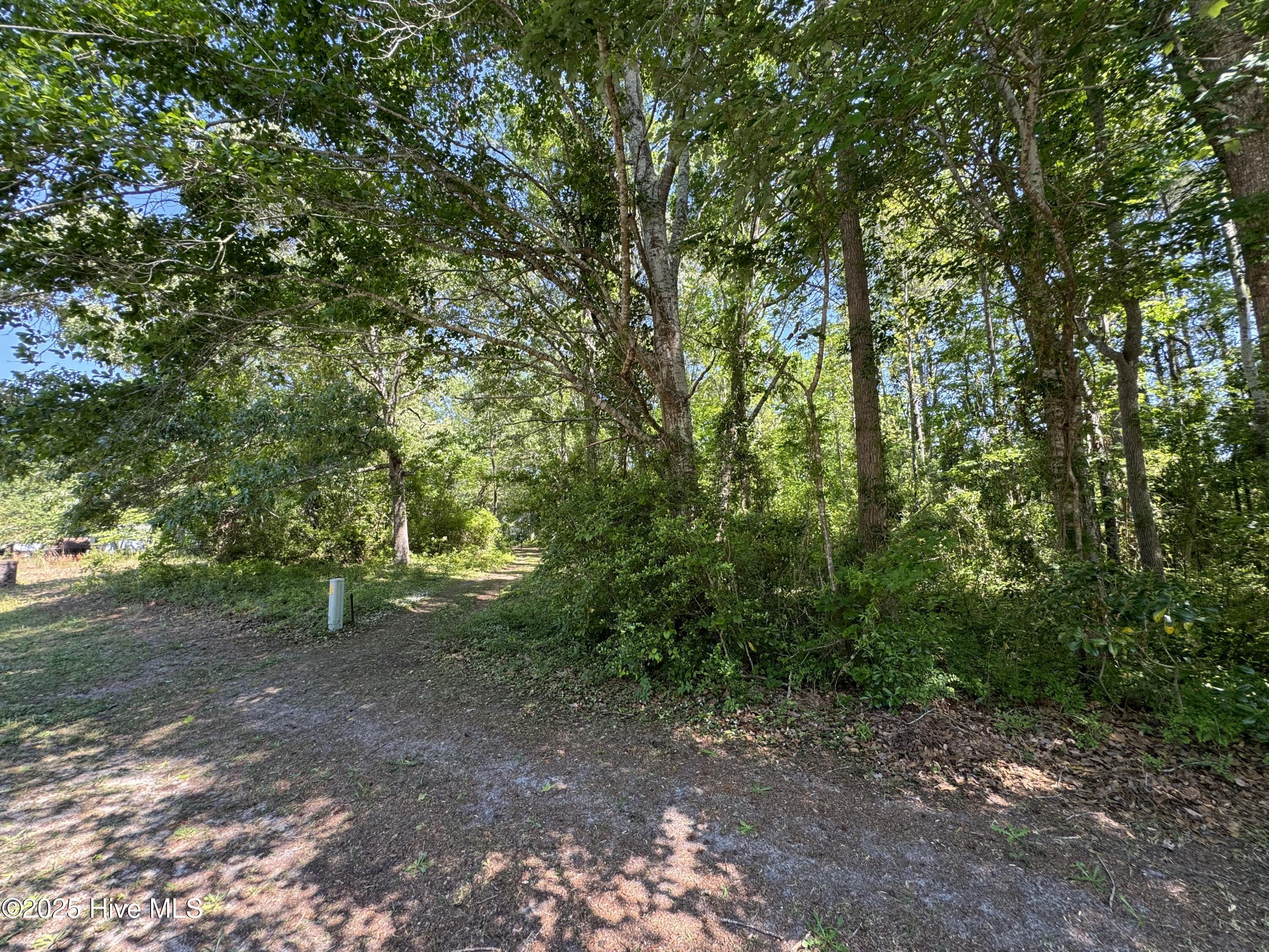 2209 Forest Drive Sw Property Photo 6