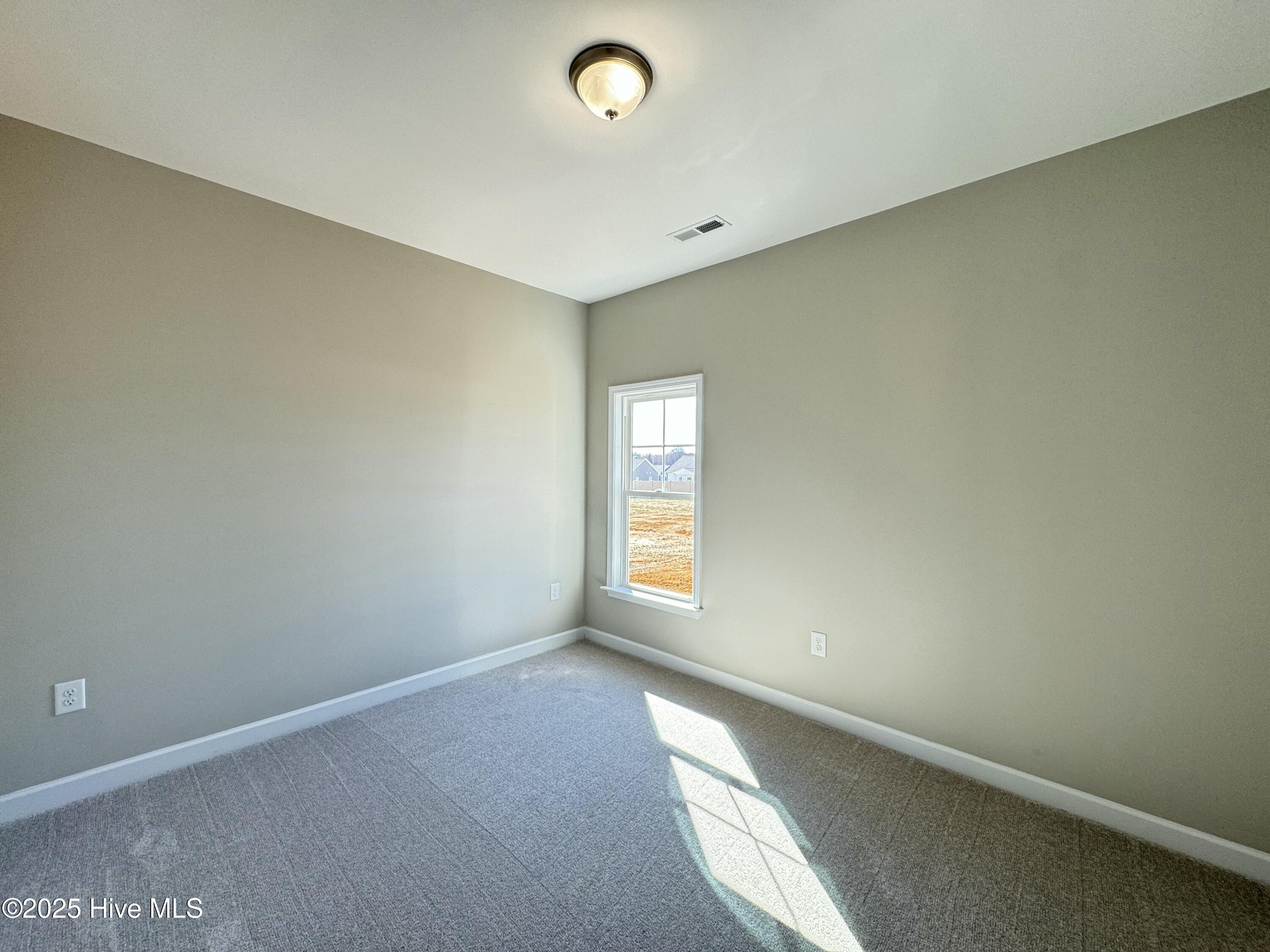 209 Dunbar Hill Drive Property Photo 18