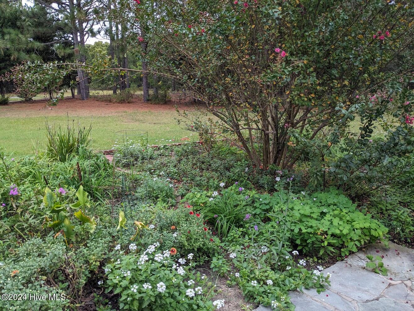 594 Rose Ridge Road Property Photo 35