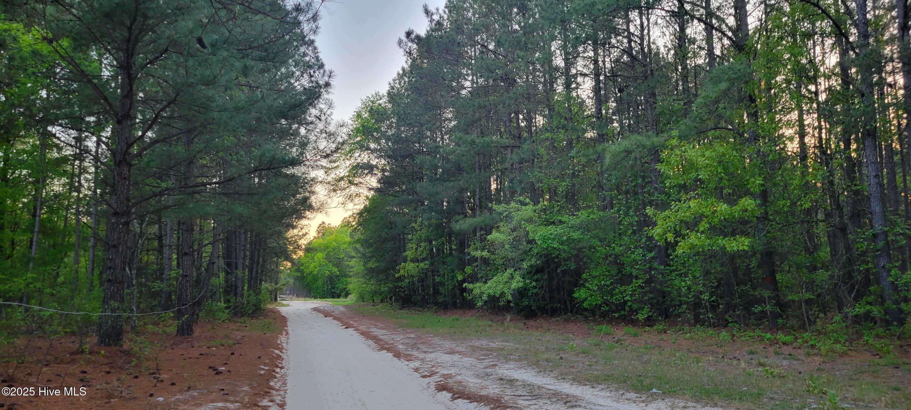 515 Ponderosa Drive Property Photo 8