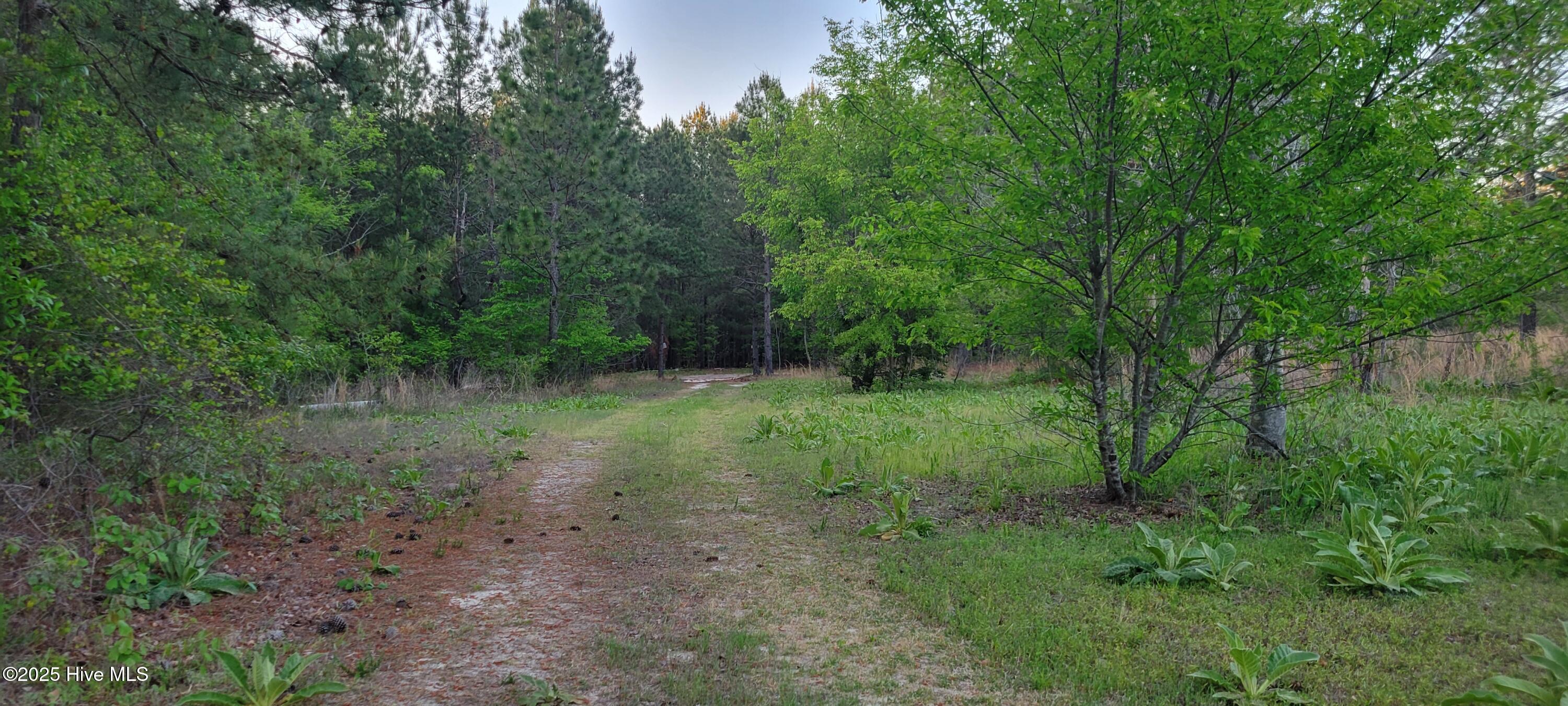 515 Ponderosa Drive Property Photo 9